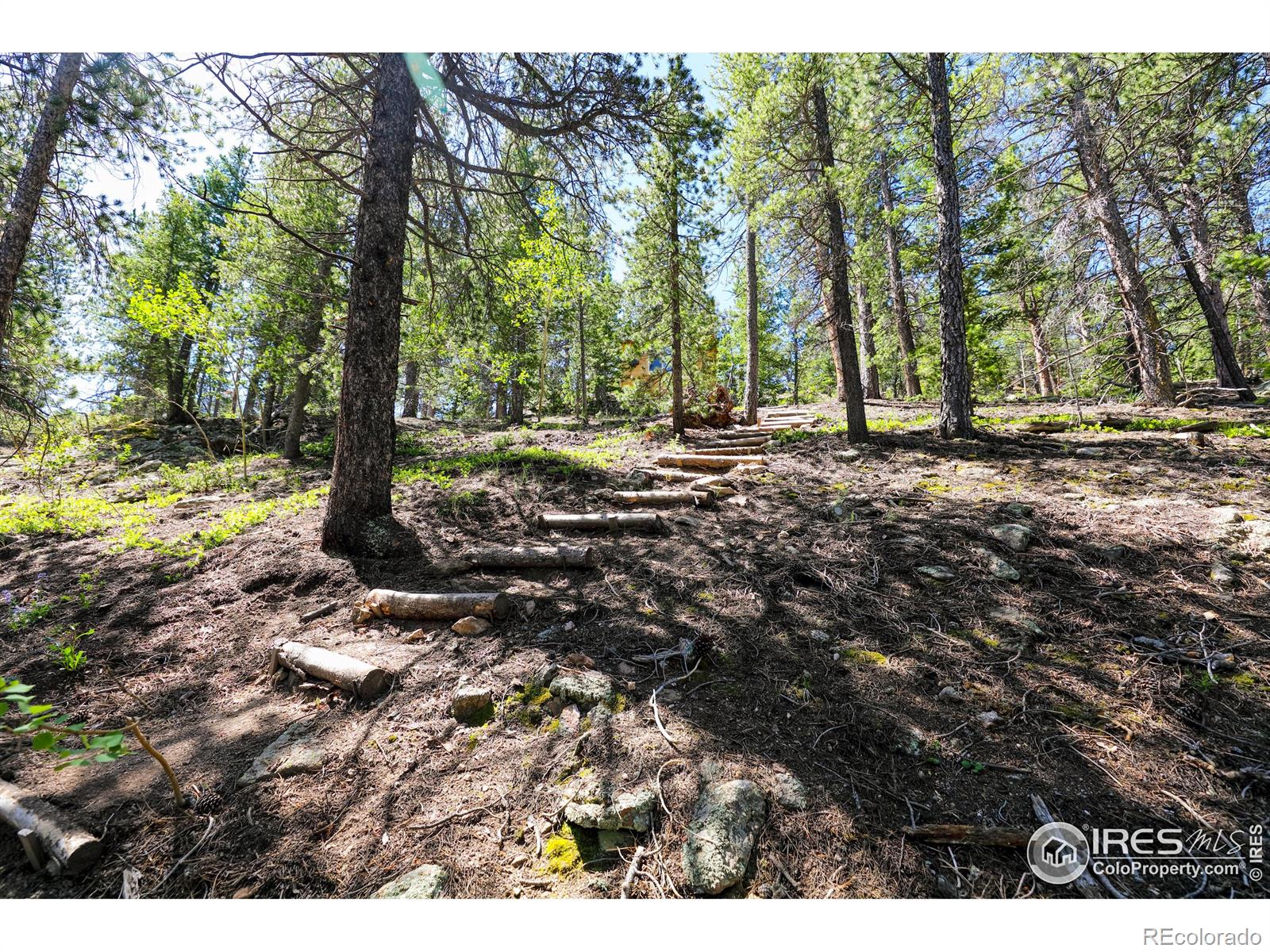MLS Image #28 for 256  fisk fenner road,allenspark, Colorado