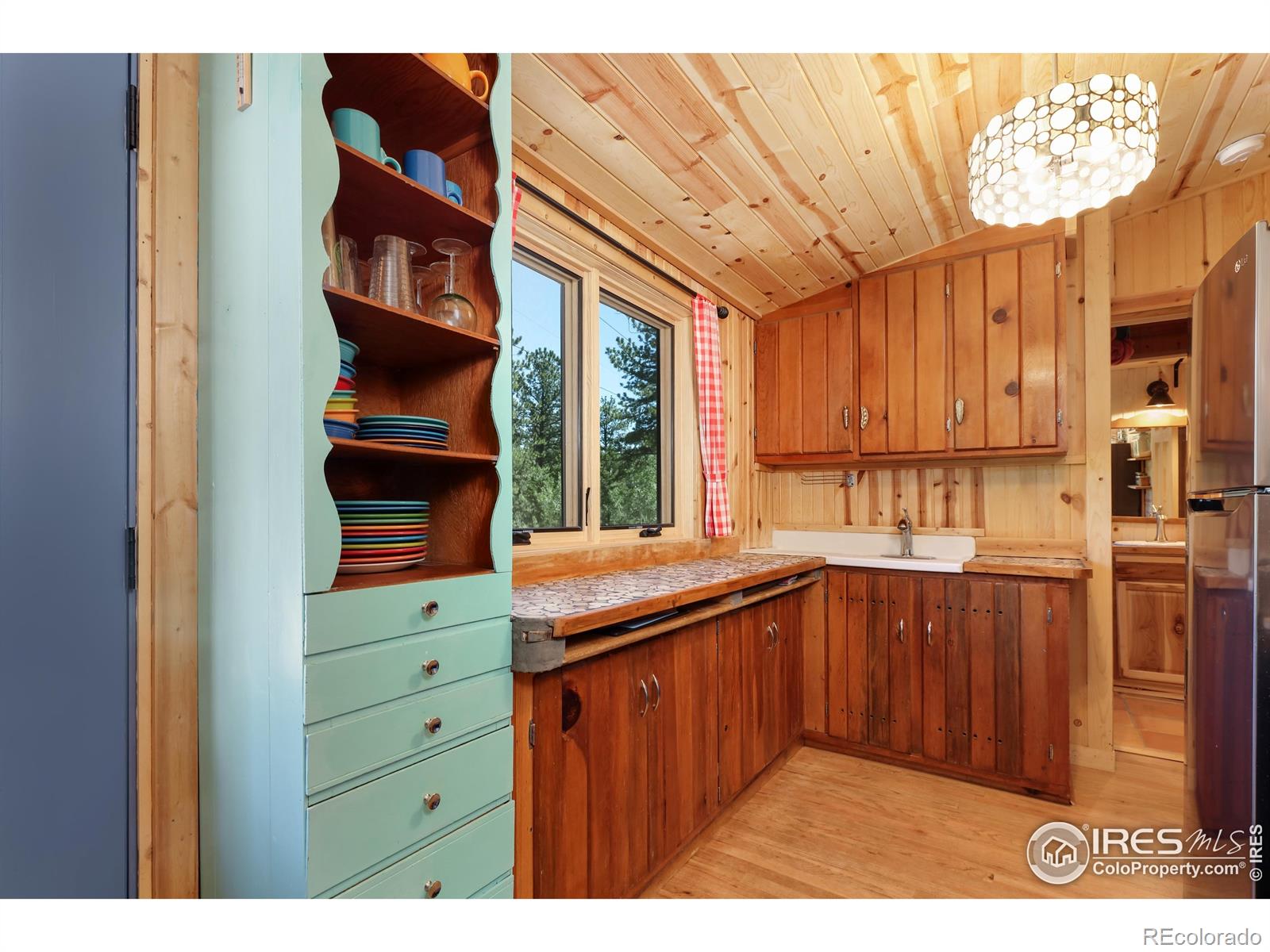 MLS Image #3 for 256  fisk fenner road,allenspark, Colorado