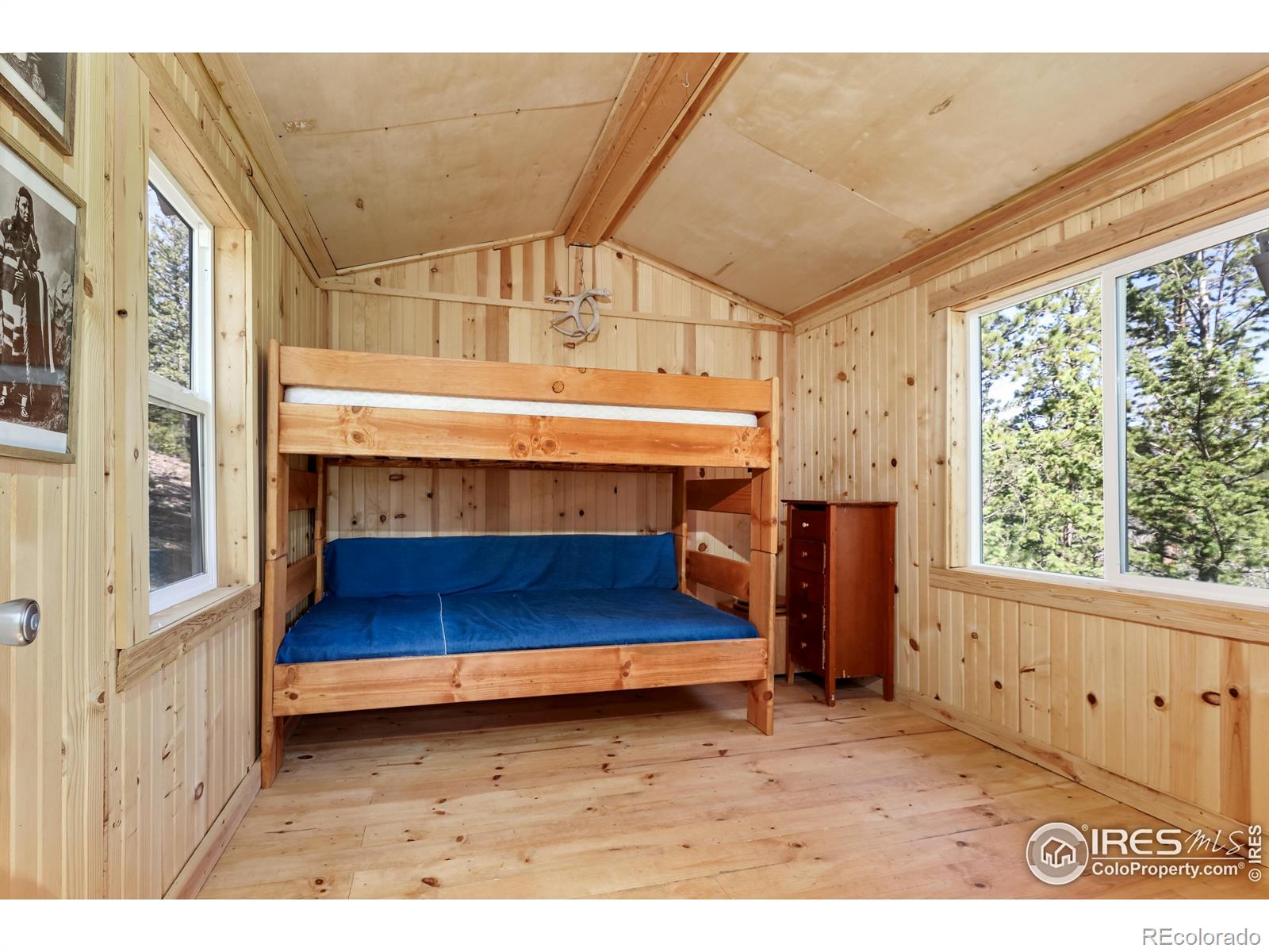 MLS Image #30 for 256  fisk fenner road,allenspark, Colorado