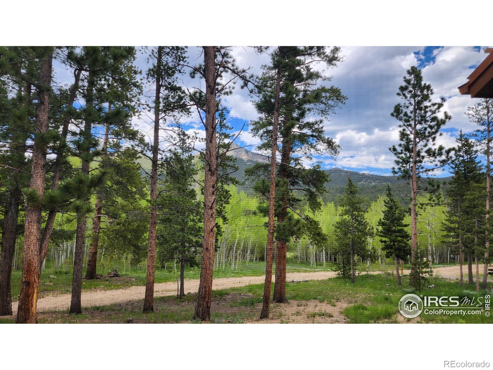 MLS Image #33 for 256  fisk fenner road,allenspark, Colorado