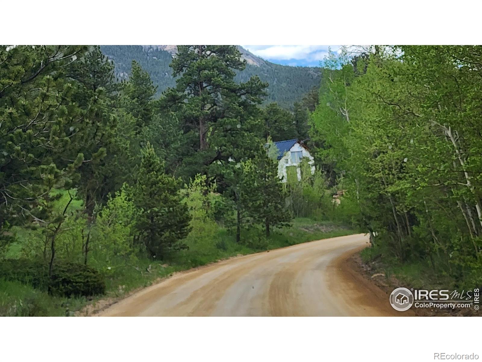 MLS Image #34 for 256  fisk fenner road,allenspark, Colorado