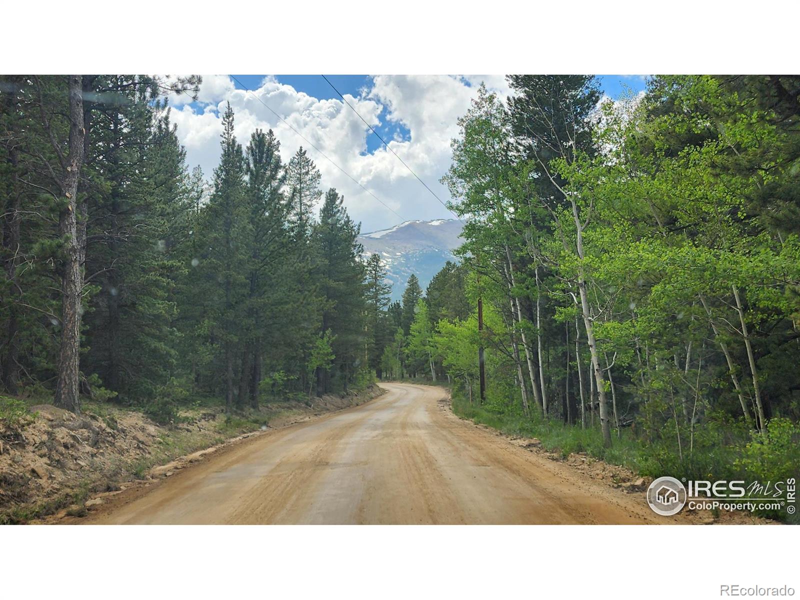 MLS Image #35 for 256  fisk fenner road,allenspark, Colorado