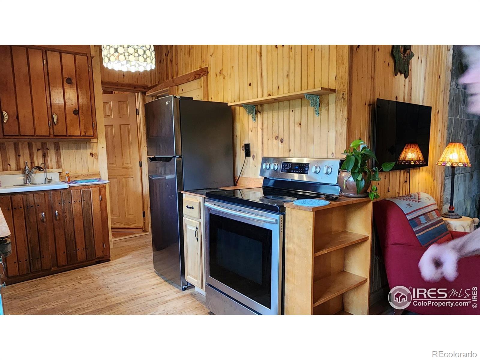 MLS Image #4 for 256  fisk fenner road,allenspark, Colorado