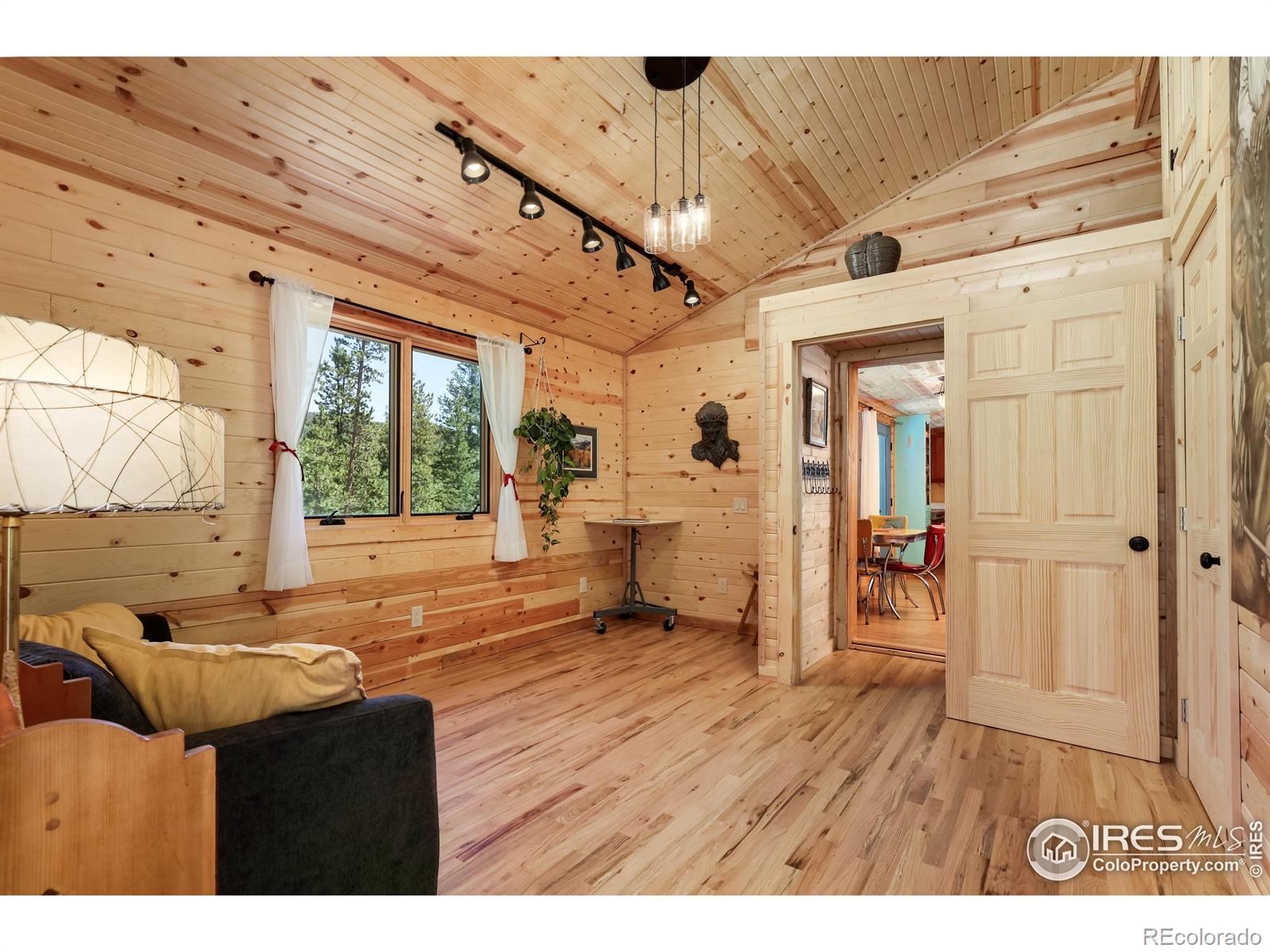 MLS Image #8 for 256  fisk fenner road,allenspark, Colorado