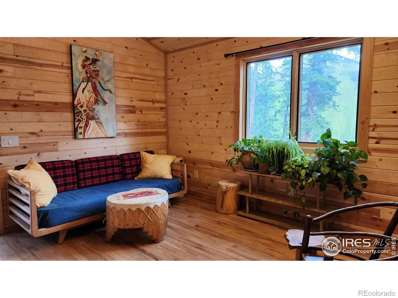 MLS Image #9 for 256  fisk fenner road,allenspark, Colorado