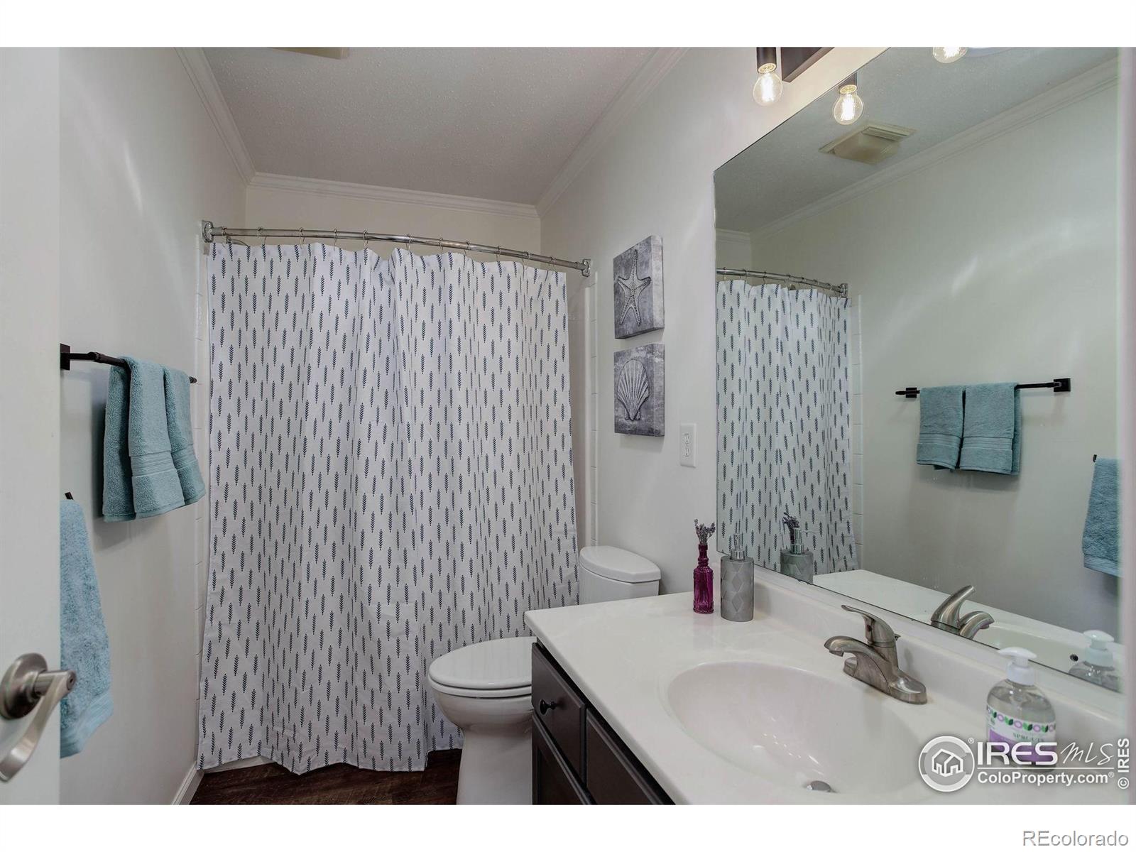 MLS Image #16 for 1553  rowell drive,lyons, Colorado