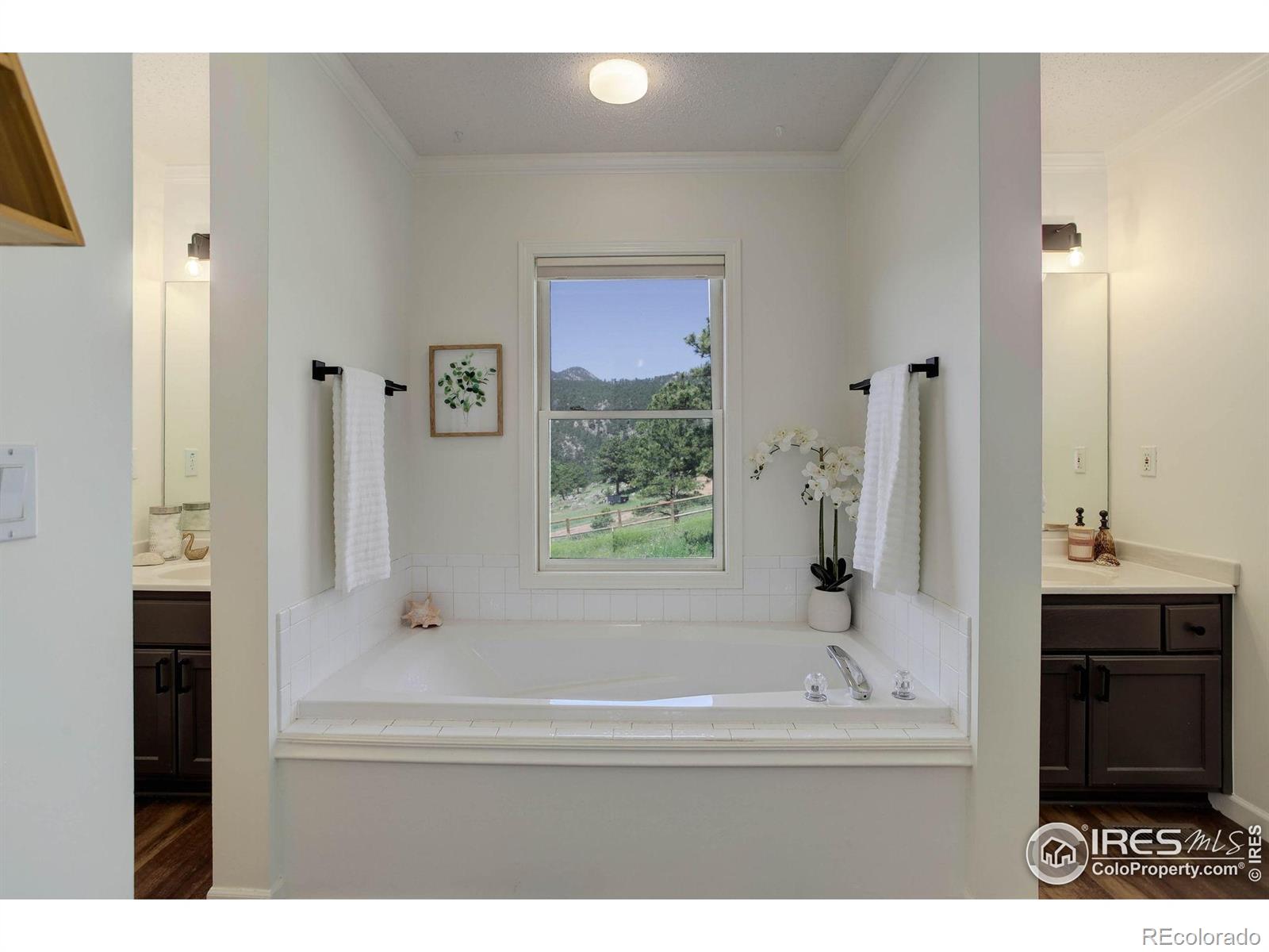 MLS Image #20 for 1553  rowell drive,lyons, Colorado