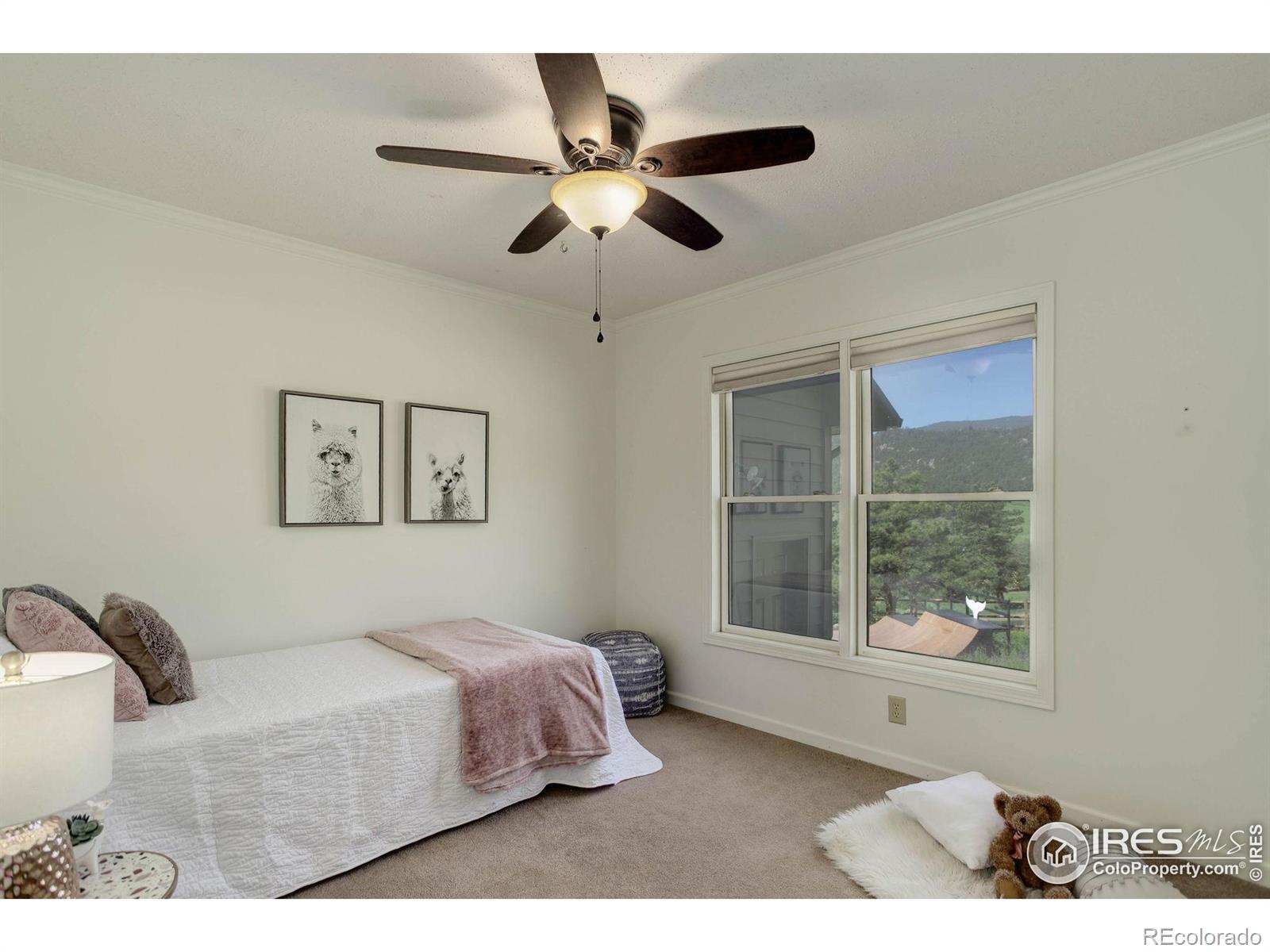 MLS Image #24 for 1553  rowell drive,lyons, Colorado