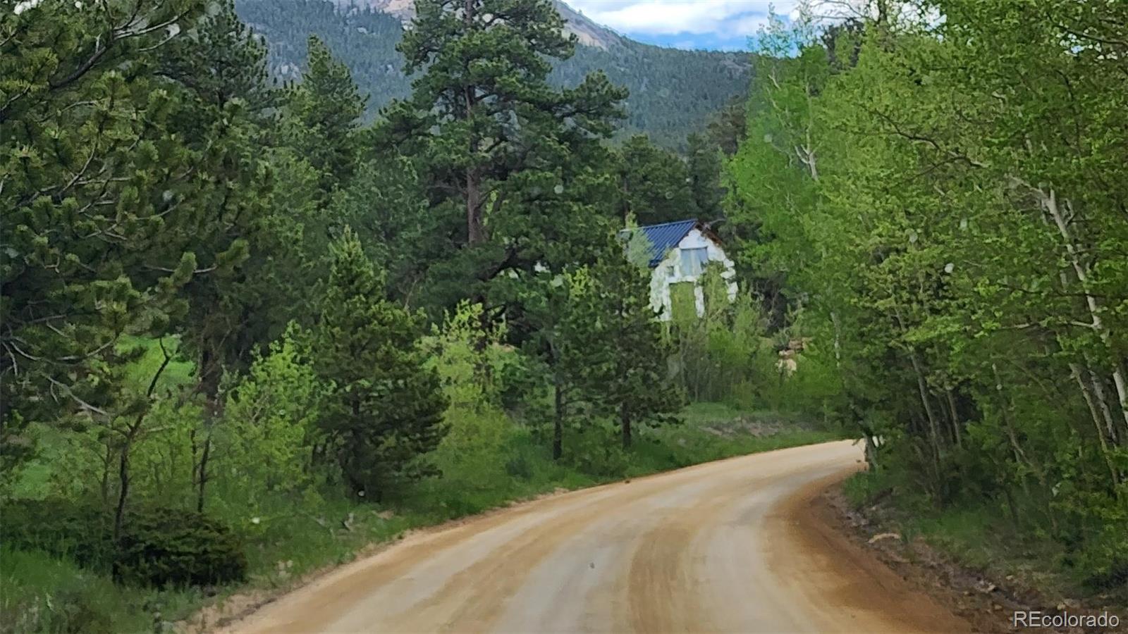 CMA Image for 256  Fisk Fenner Road,Allenspark, Colorado