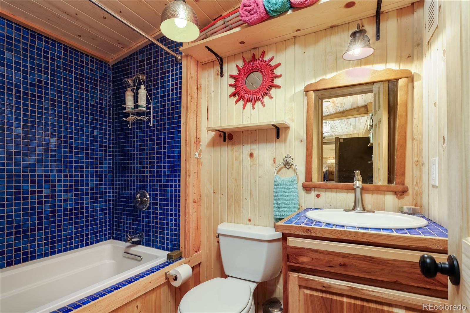 MLS Image #10 for 256  fisk fenner road,allenspark, Colorado