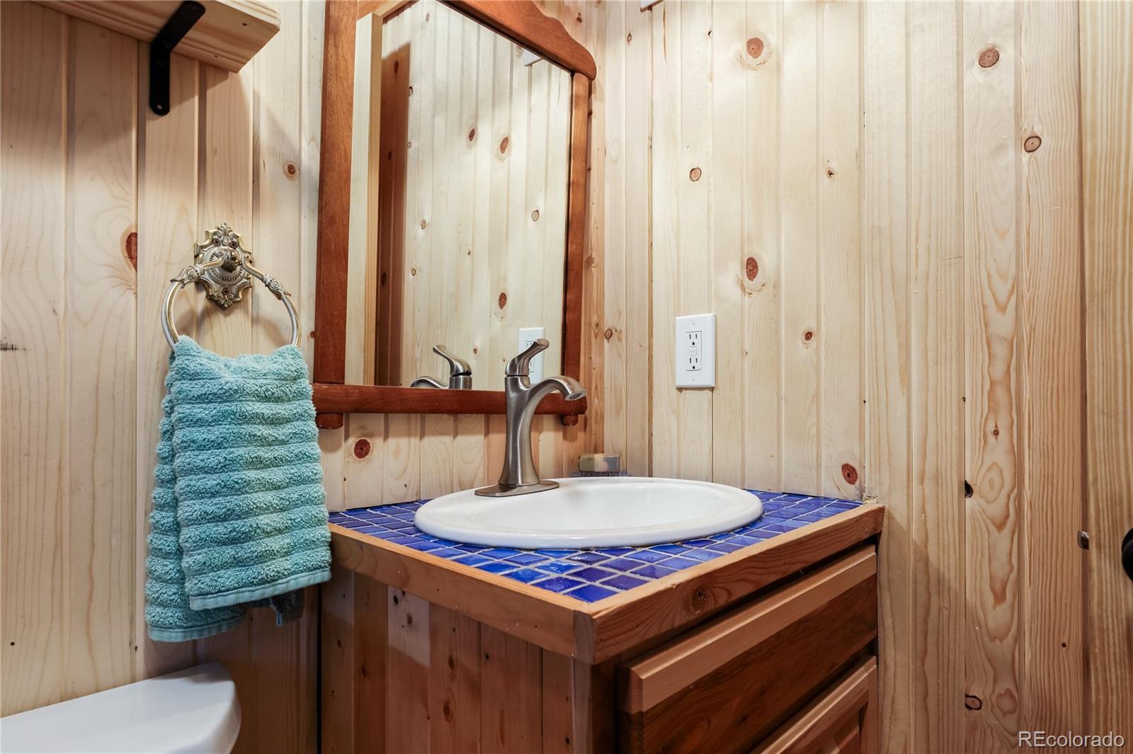 MLS Image #11 for 256  fisk fenner road,allenspark, Colorado