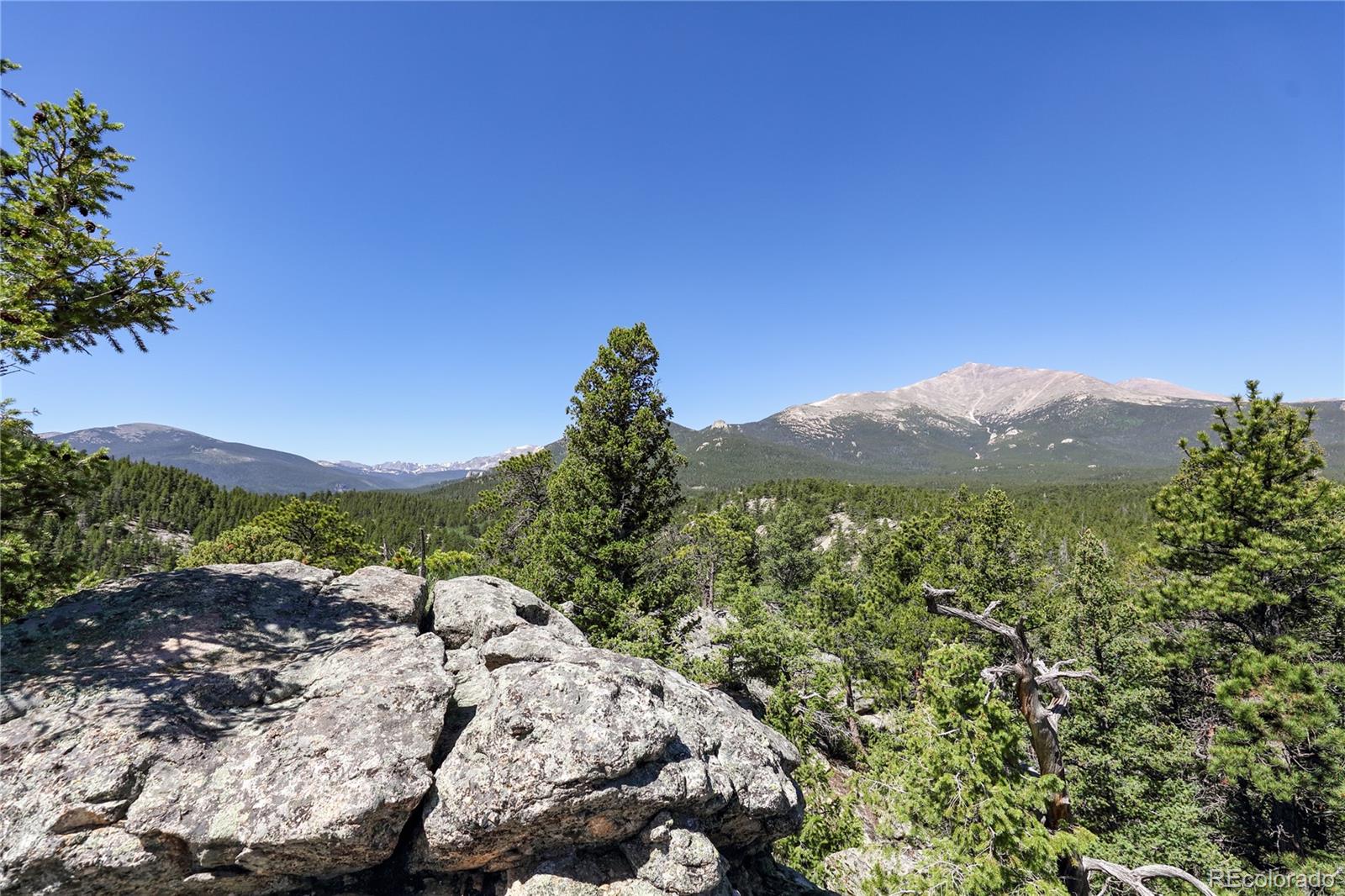 MLS Image #28 for 256  fisk fenner road,allenspark, Colorado