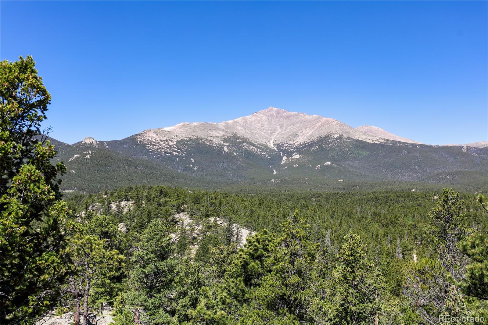 MLS Image #29 for 256  fisk fenner road,allenspark, Colorado