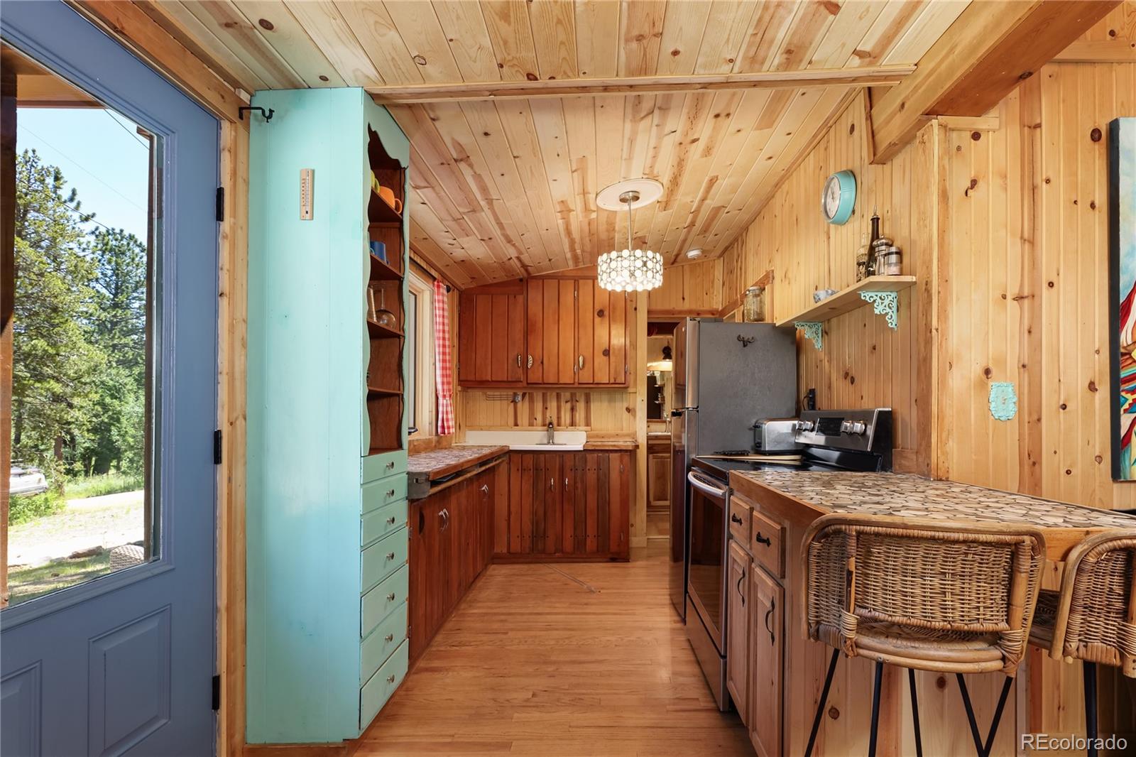 MLS Image #3 for 256  fisk fenner road,allenspark, Colorado