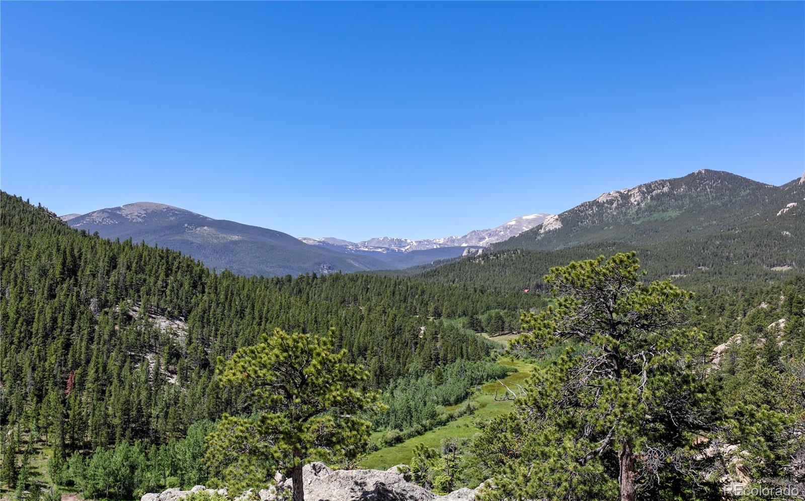 MLS Image #30 for 256  fisk fenner road,allenspark, Colorado