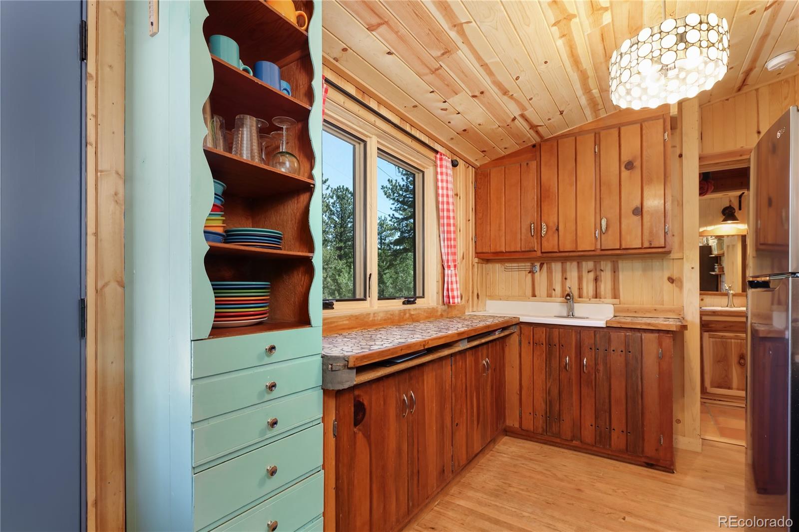 MLS Image #5 for 256  fisk fenner road,allenspark, Colorado
