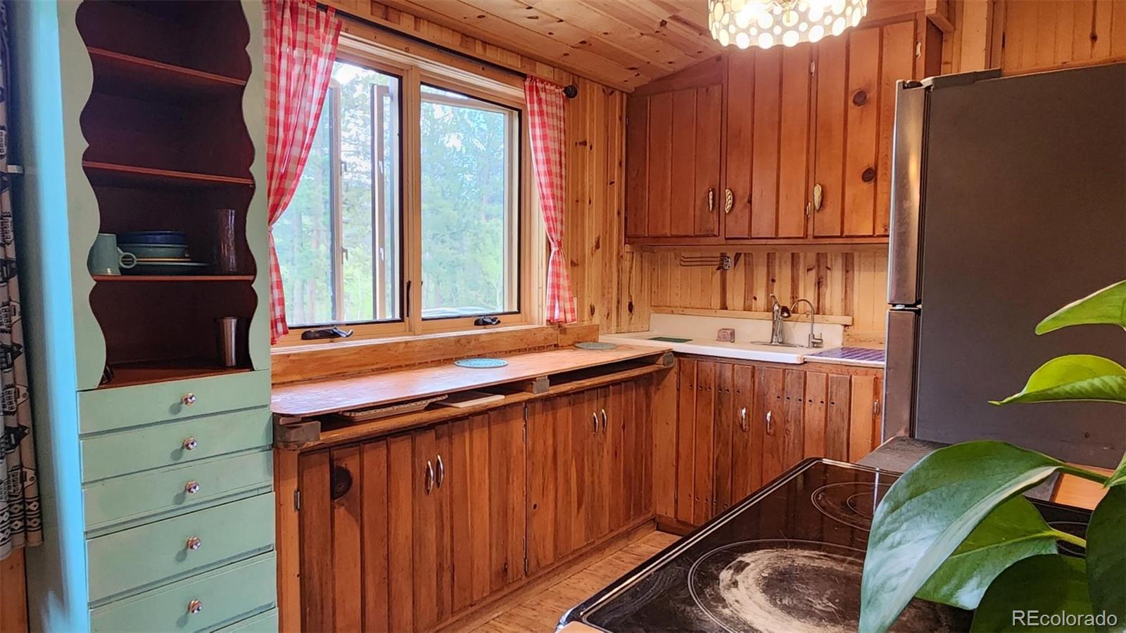 MLS Image #6 for 256  fisk fenner road,allenspark, Colorado