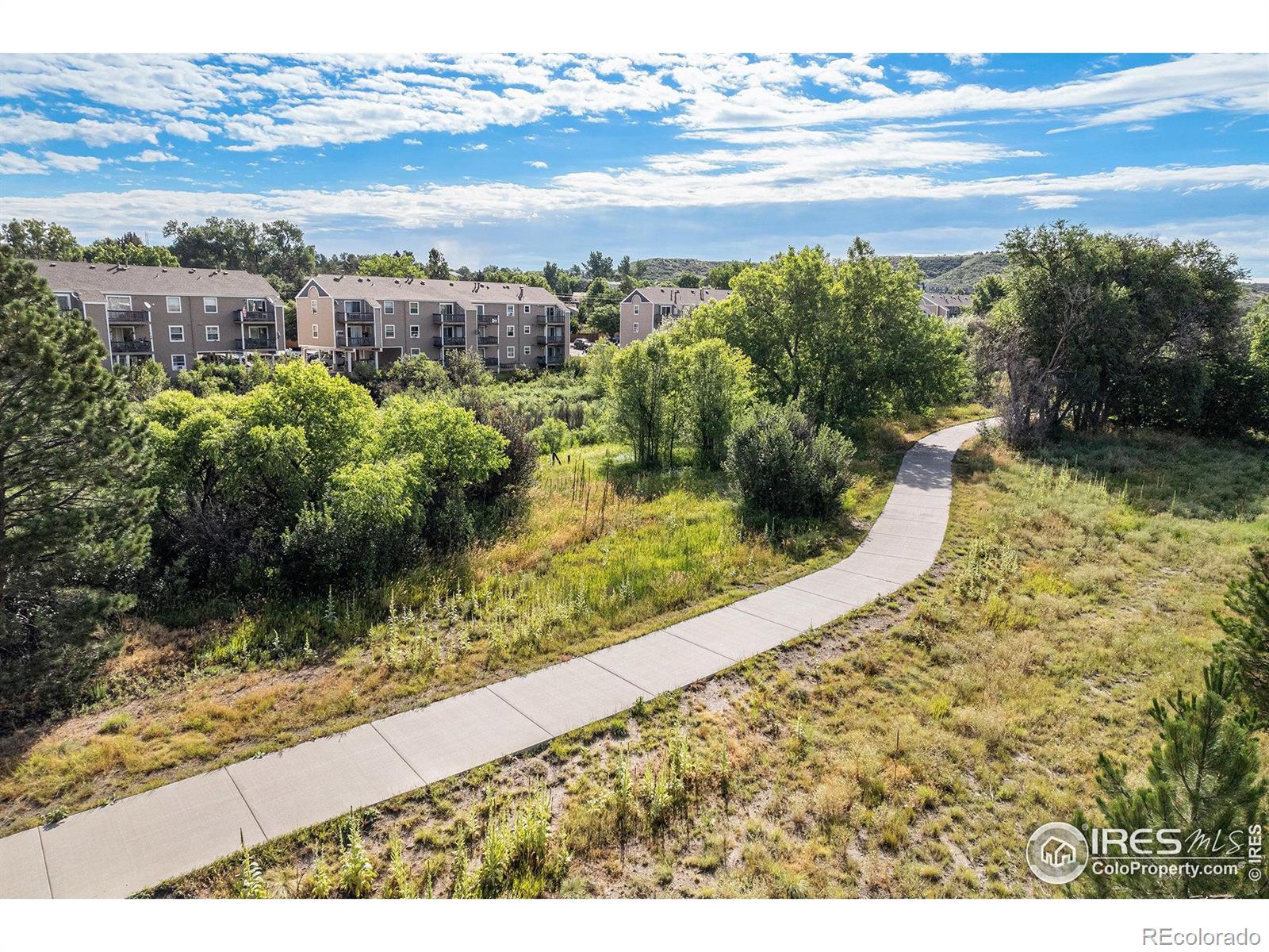 MLS Image #12 for 1175 s gilbert street,castle rock, Colorado