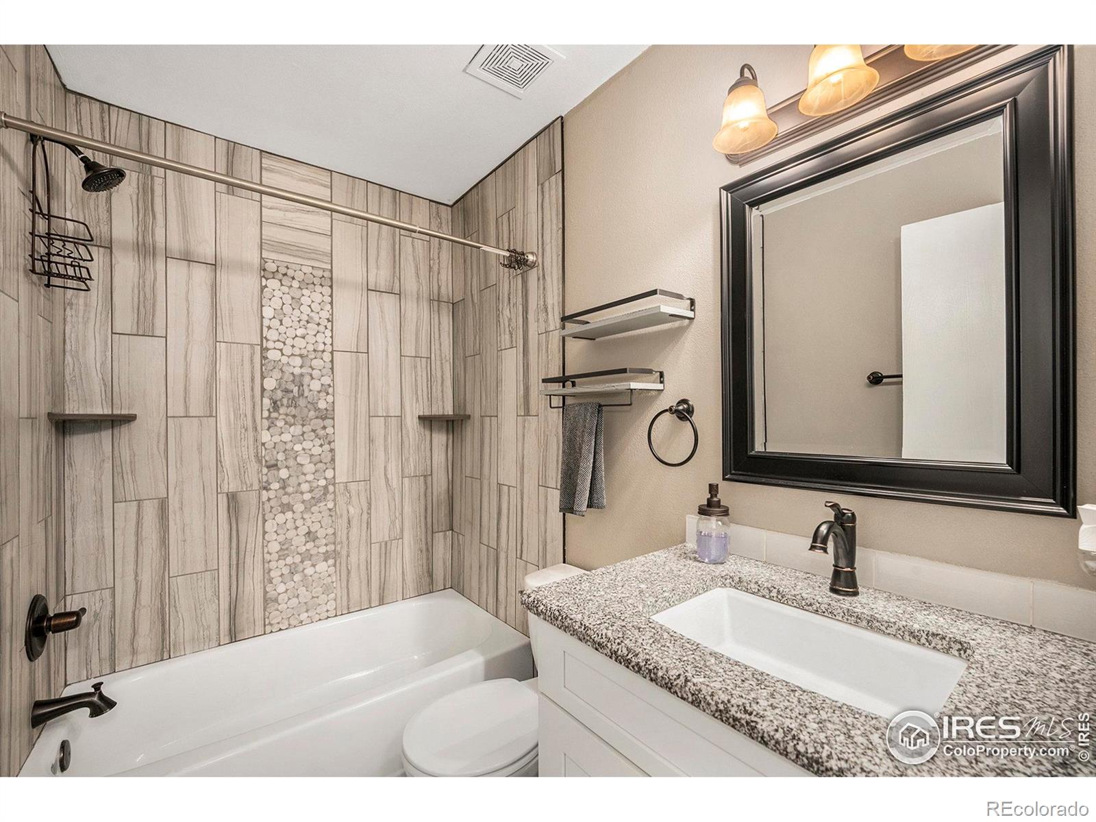 MLS Image #4 for 1175 s gilbert street,castle rock, Colorado