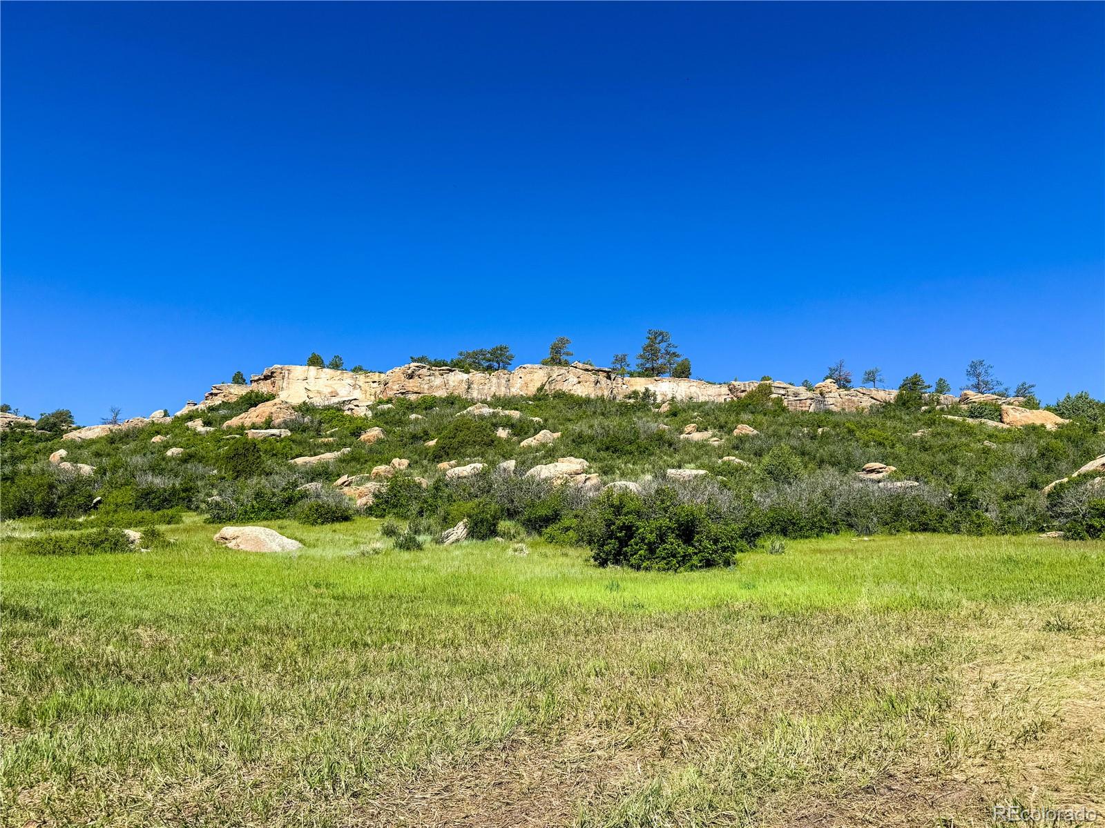 MLS Image #29 for 1151  castlewood place,franktown, Colorado