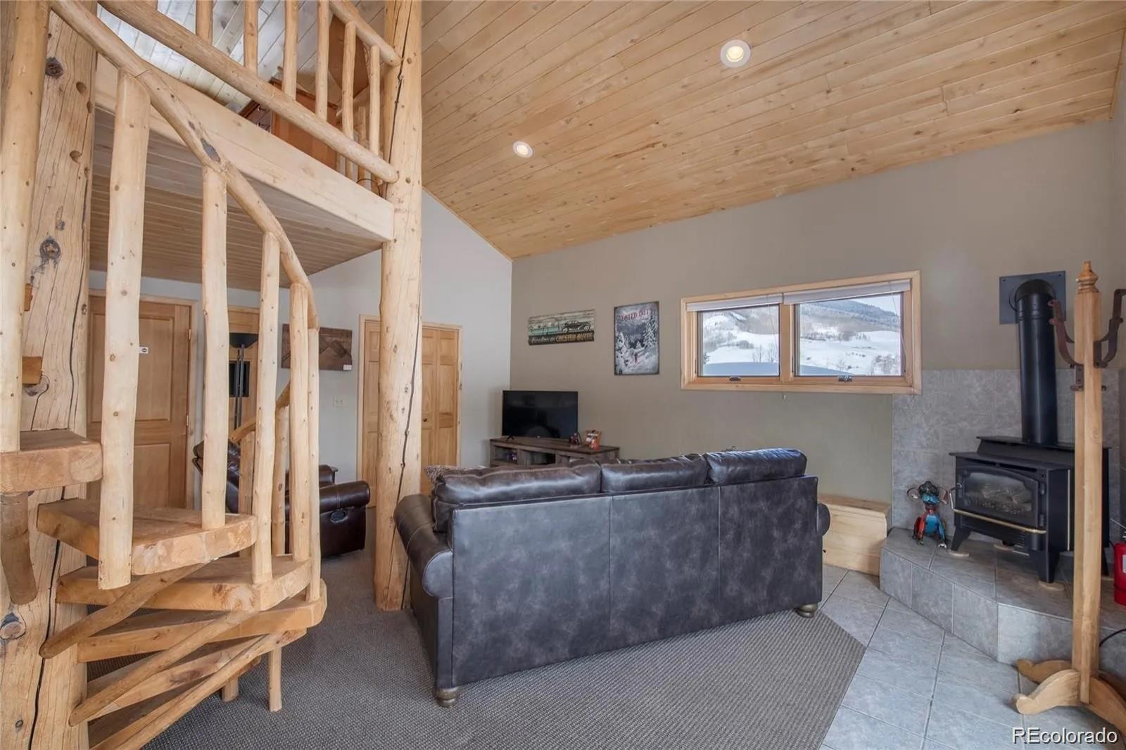 MLS Image #25 for 13  paradise road,crested butte, Colorado