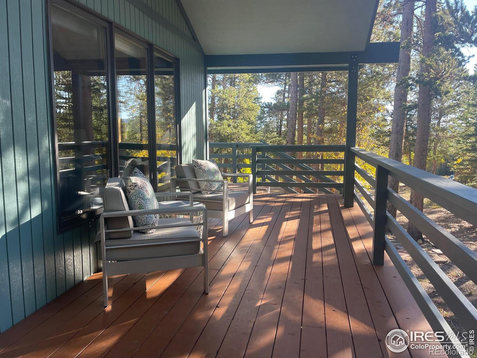 MLS Image #4 for 33 n skinner road,allenspark, Colorado
