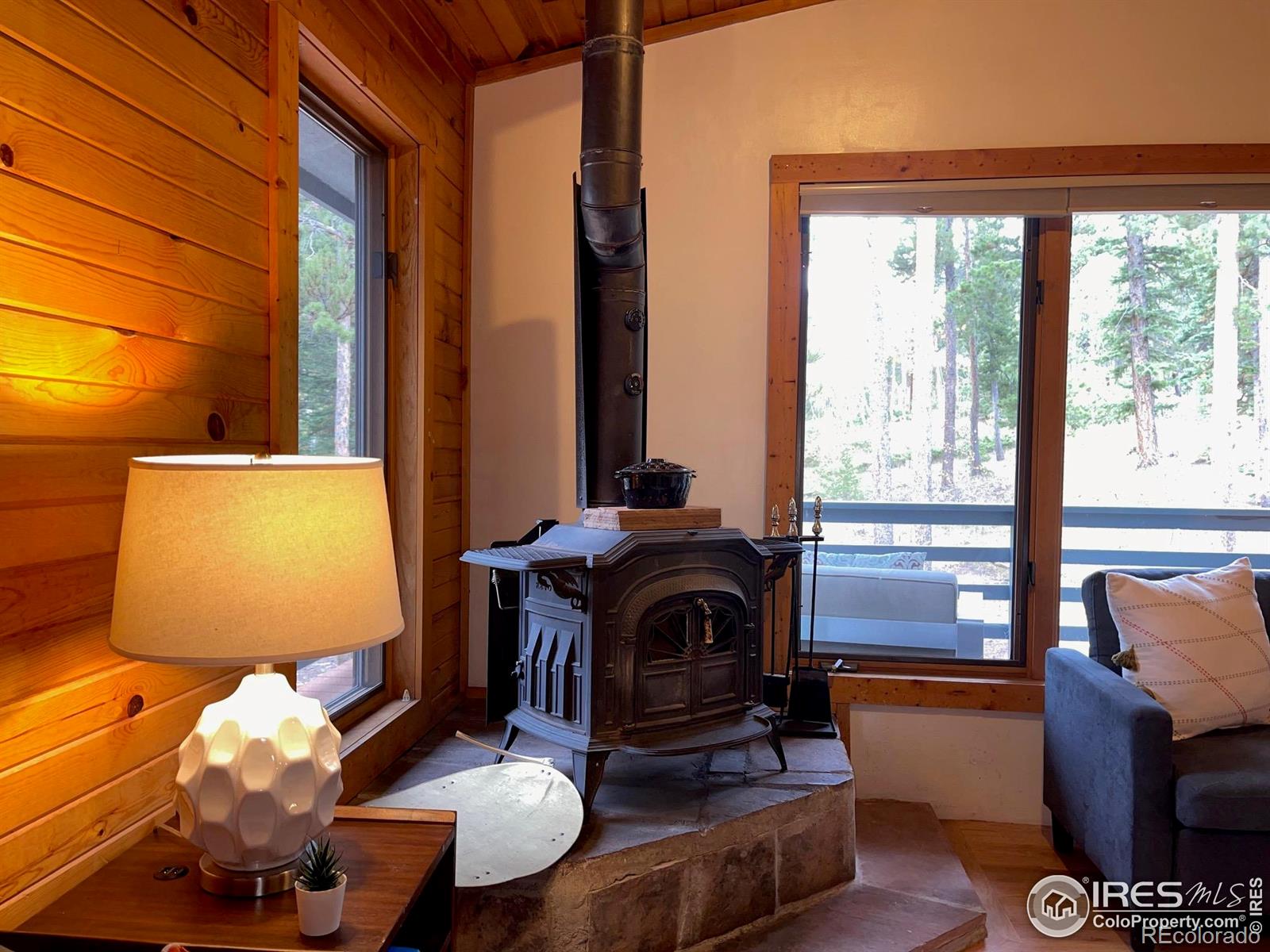 MLS Image #8 for 33 n skinner road,allenspark, Colorado