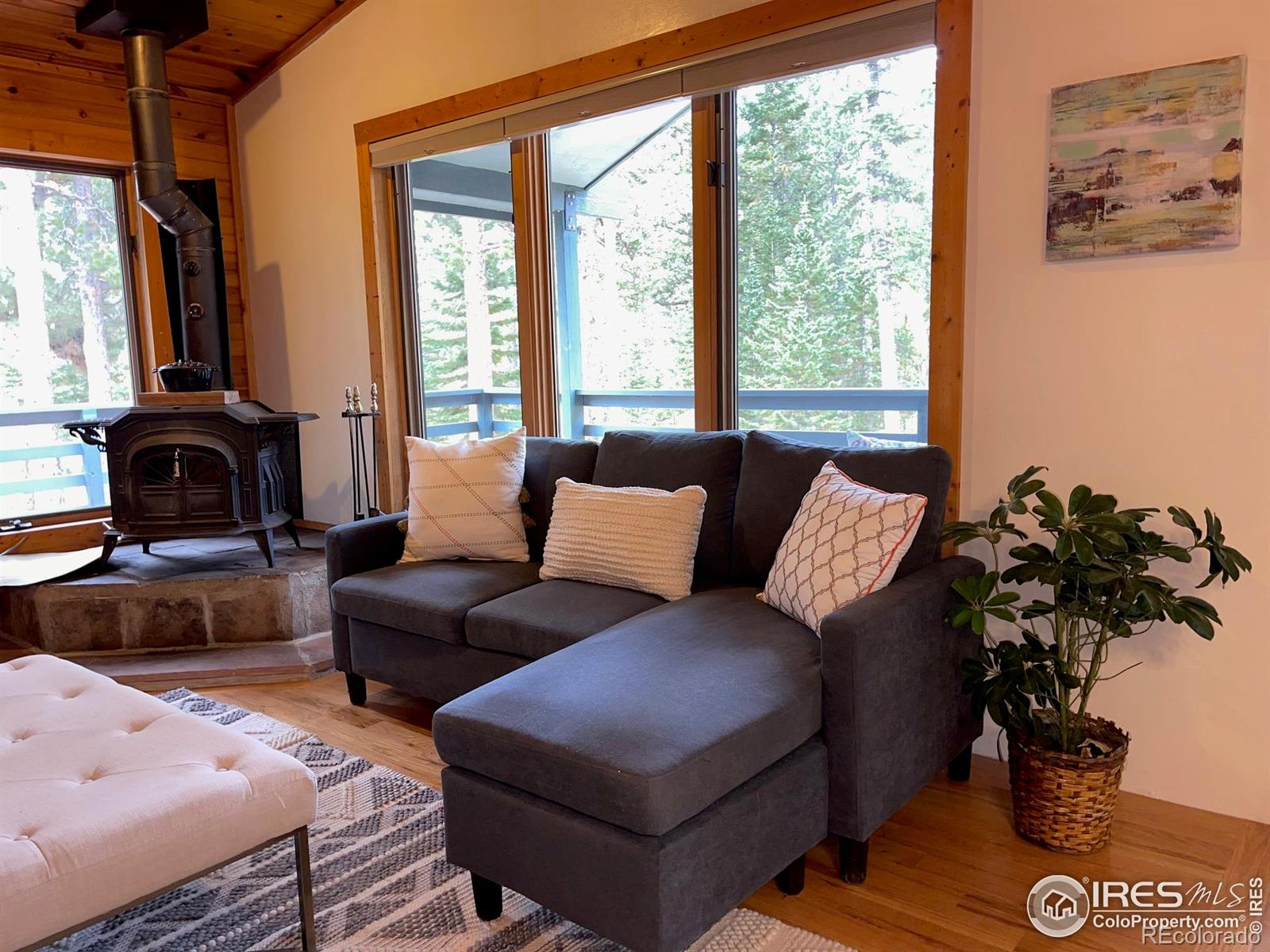 MLS Image #9 for 33 n skinner road,allenspark, Colorado