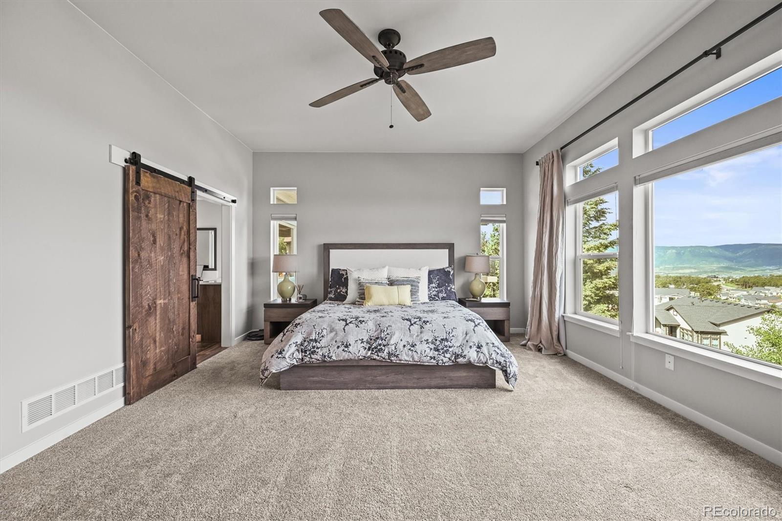 MLS Image #20 for 16312  morning rise lane,monument, Colorado