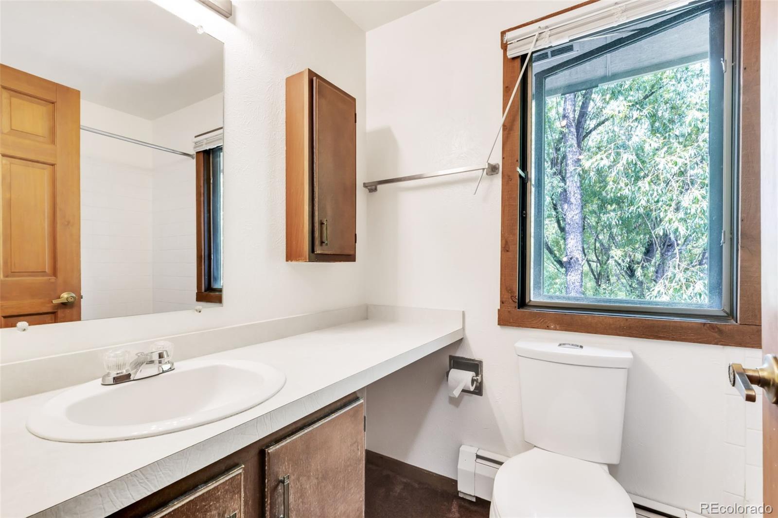 MLS Image #23 for 4843  silver spruce lane,evergreen, Colorado