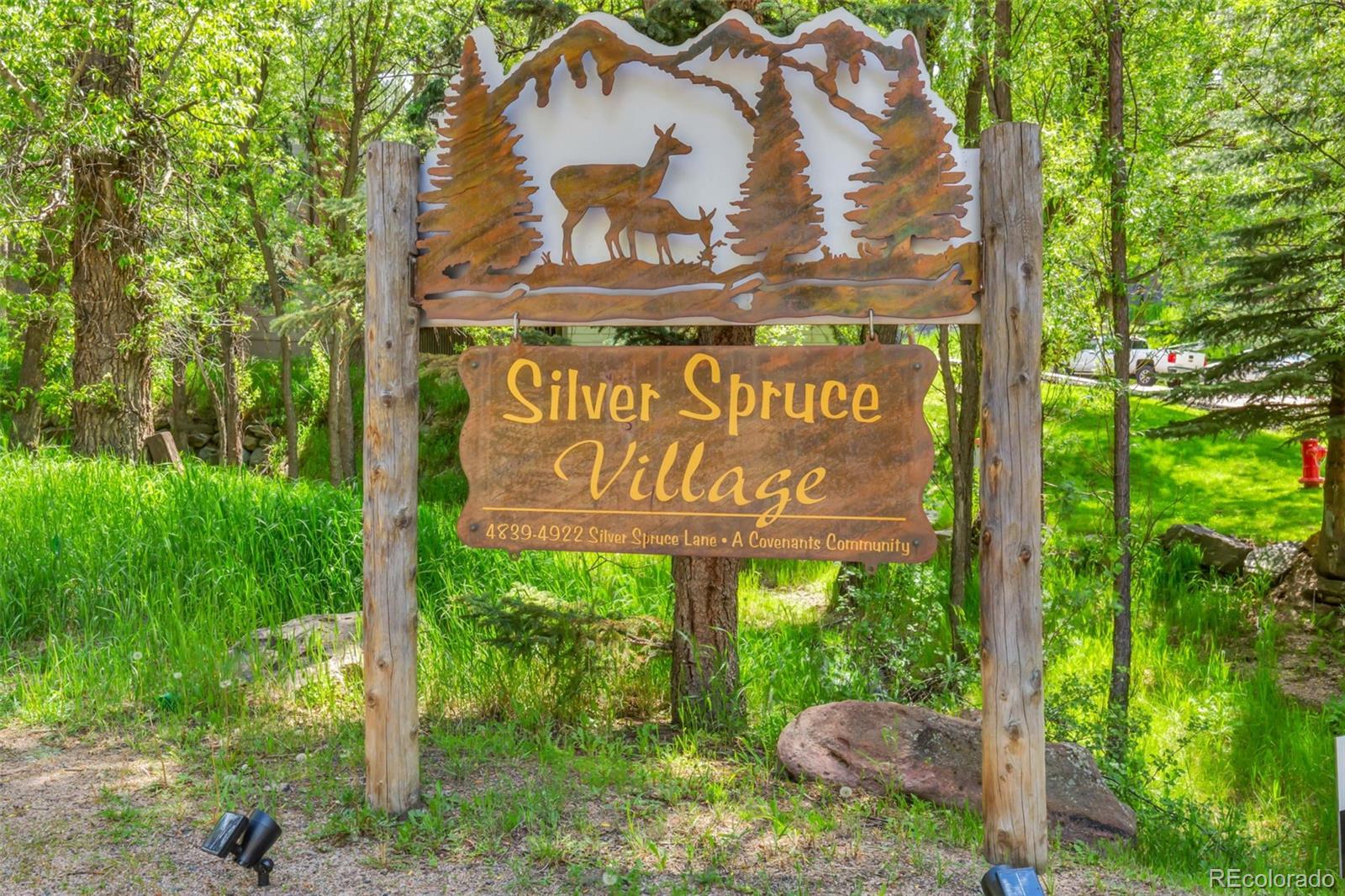 MLS Image #29 for 4843  silver spruce lane,evergreen, Colorado