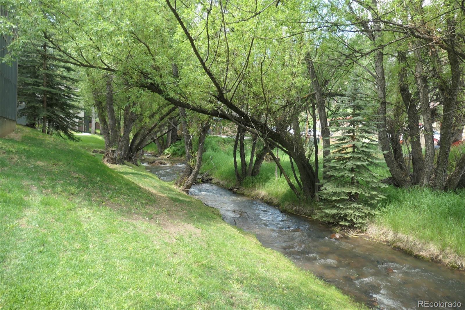MLS Image #32 for 4843  silver spruce lane,evergreen, Colorado