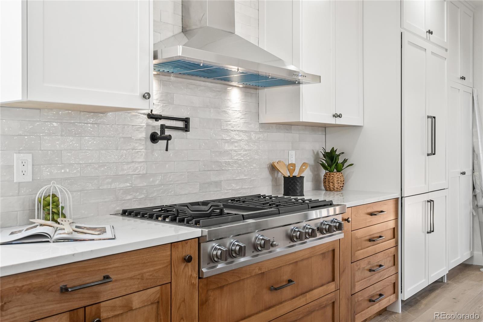 MLS Image #12 for 5569  willow springs drive,morrison, Colorado