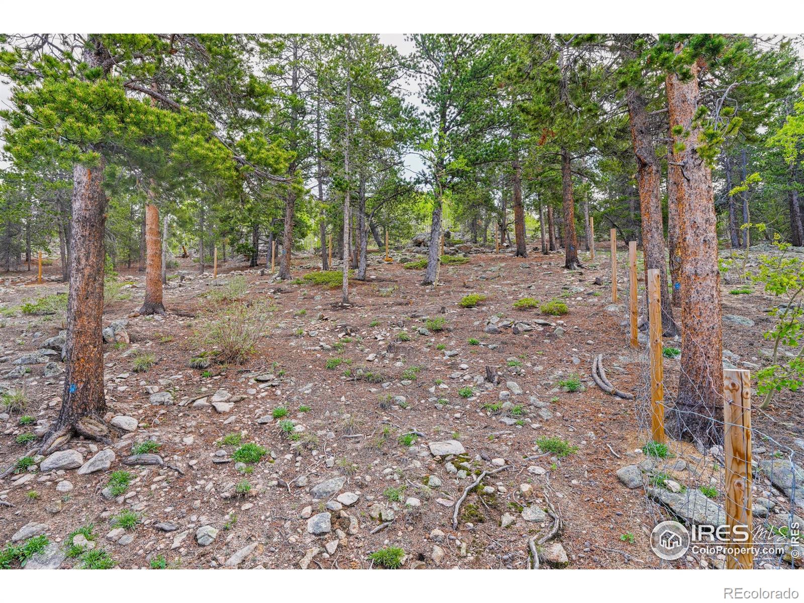 MLS Image #19 for 109  cutforth road,black hawk, Colorado