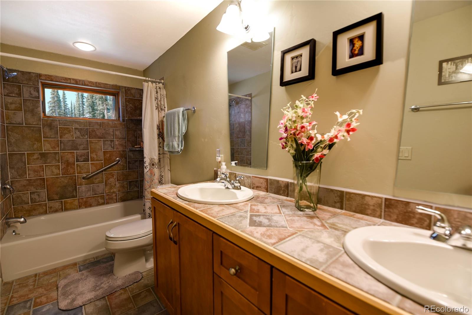 MLS Image #21 for 446  blue river road,breckenridge, Colorado