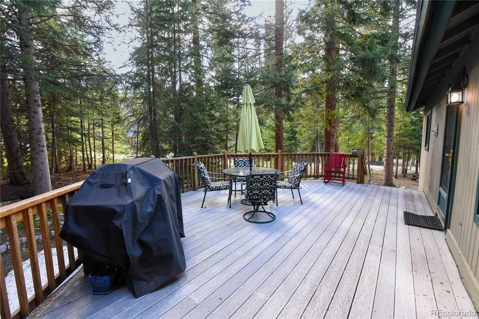 MLS Image #29 for 446  blue river road,breckenridge, Colorado
