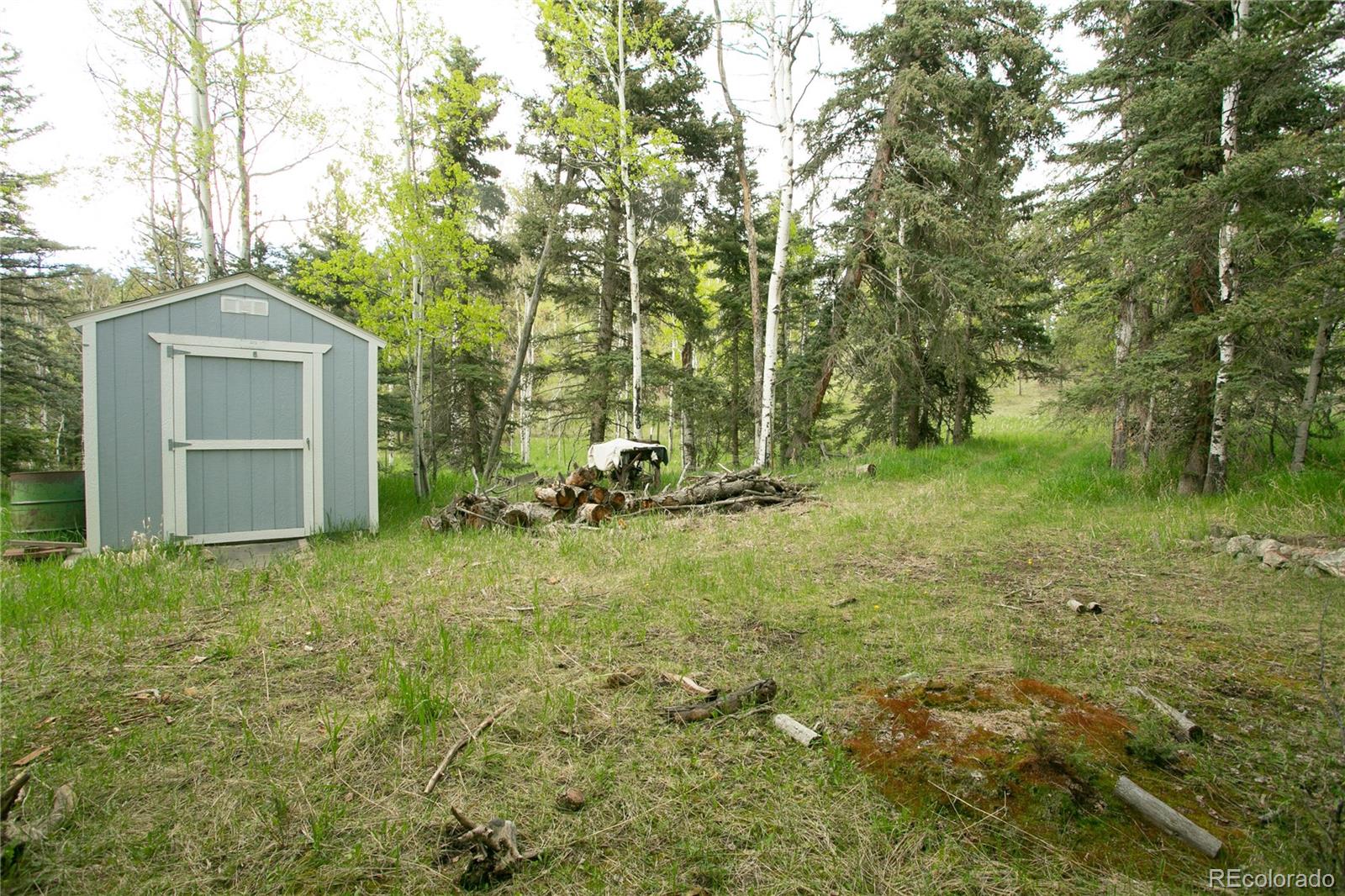 MLS Image #10 for 29055 s sunset trail,conifer, Colorado