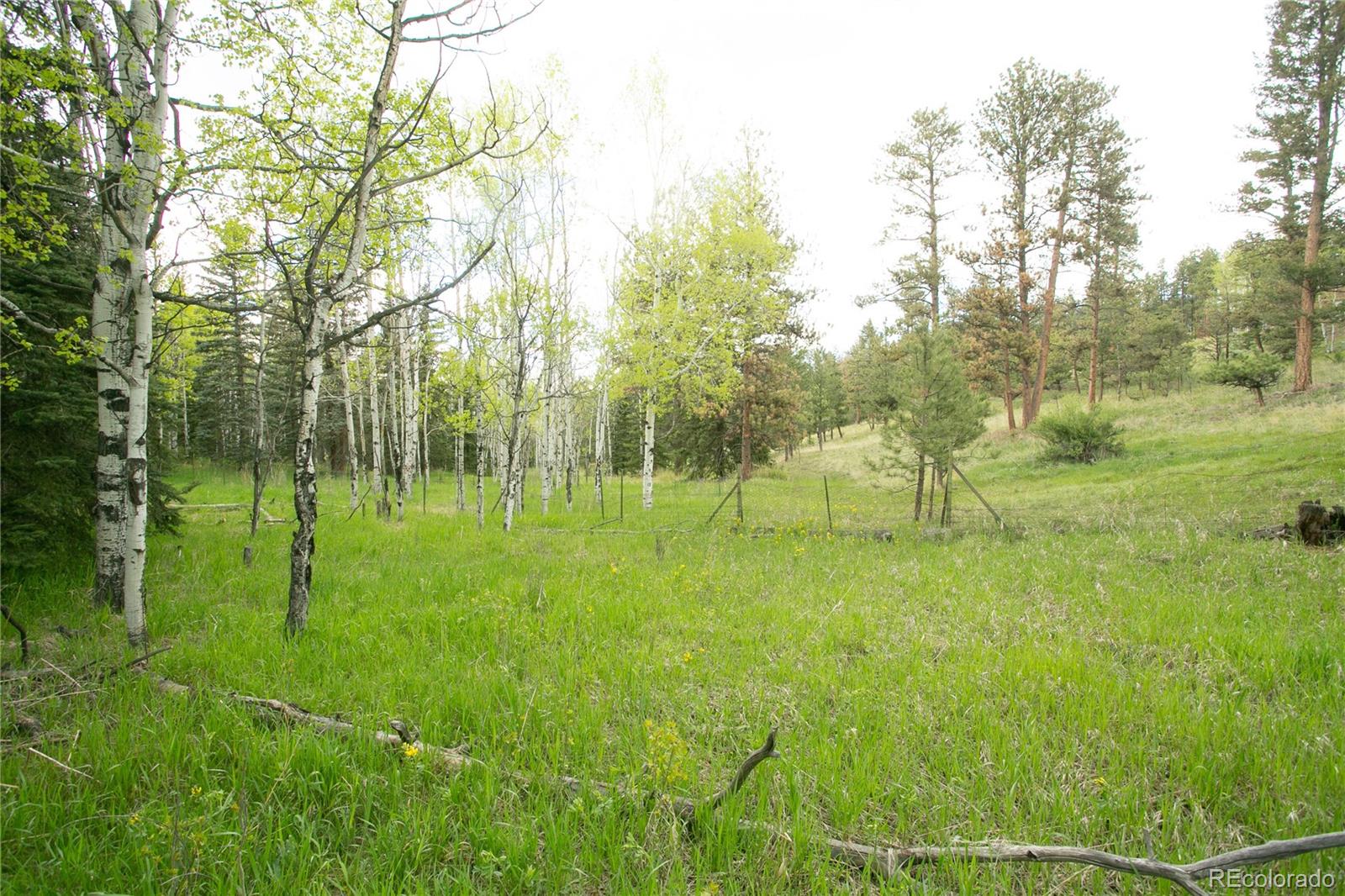 MLS Image #11 for 29055 s sunset trail,conifer, Colorado