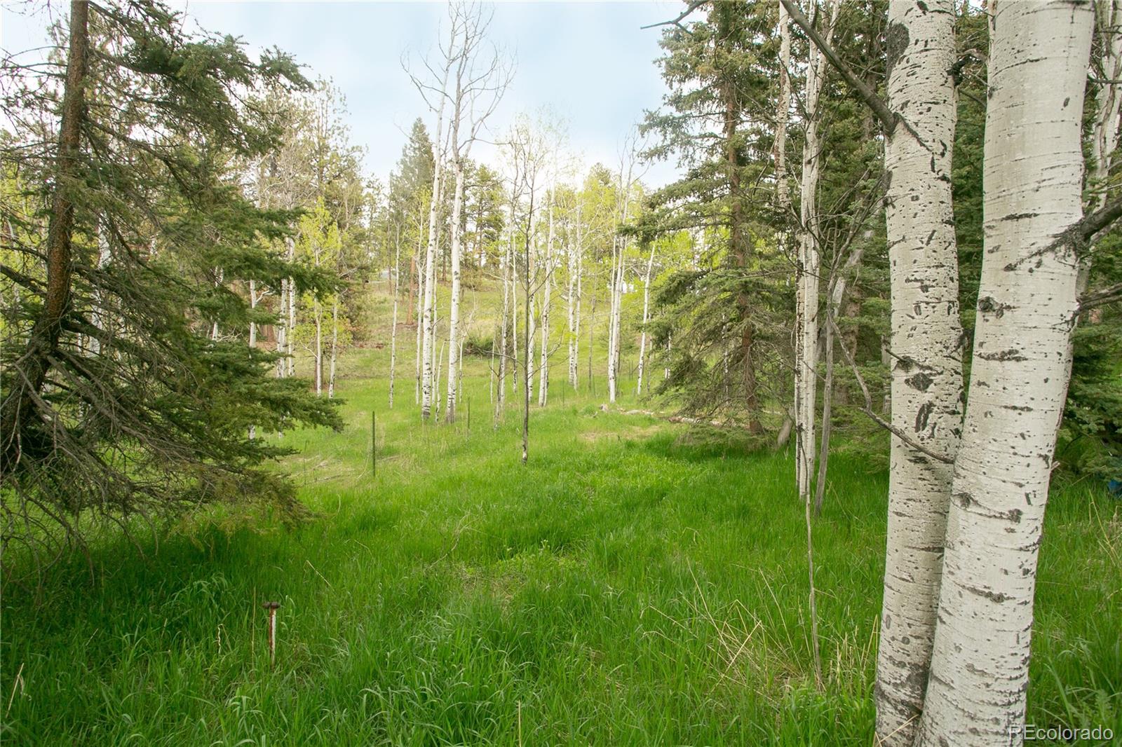 MLS Image #6 for 29055 s sunset trail,conifer, Colorado