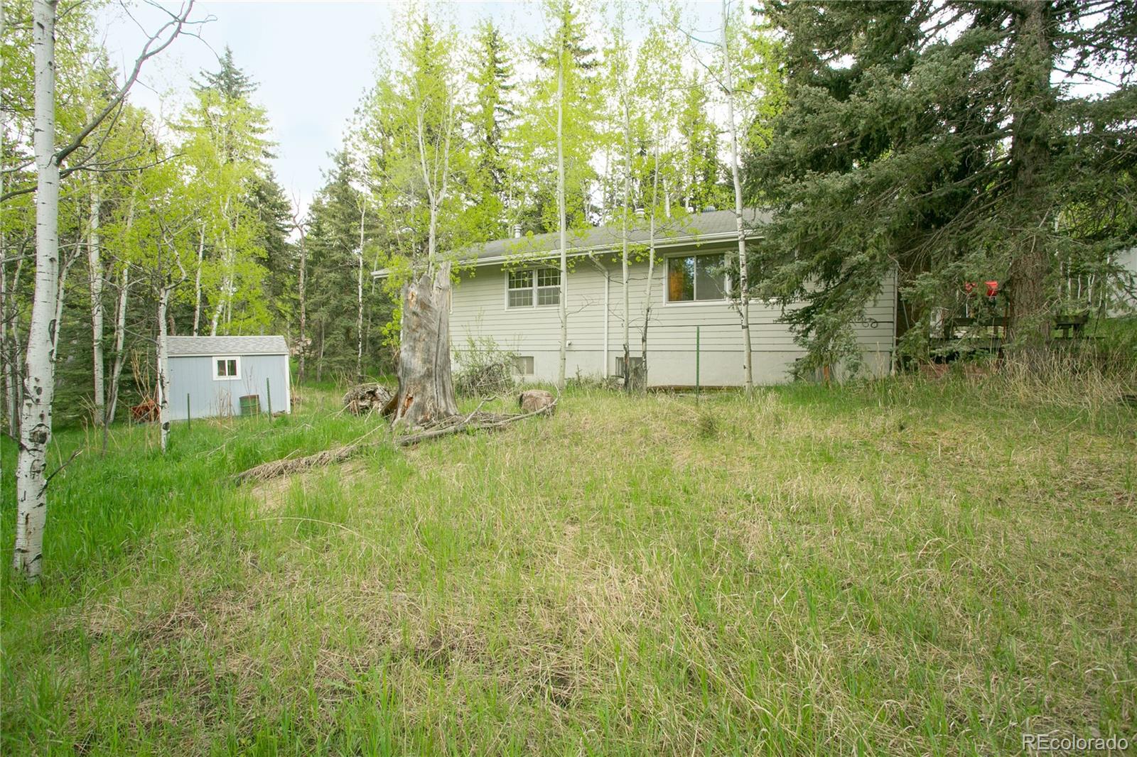 MLS Image #7 for 29055 s sunset trail,conifer, Colorado