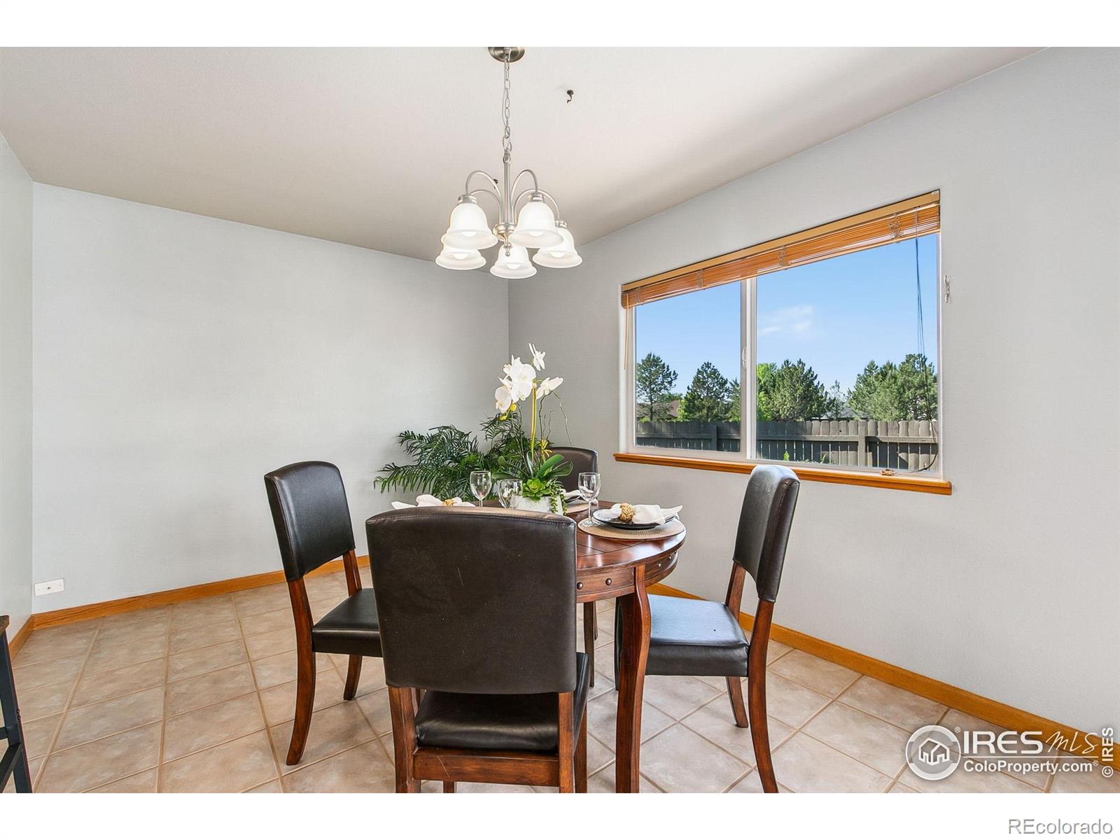 MLS Image #10 for 1204  boulder court,windsor, Colorado