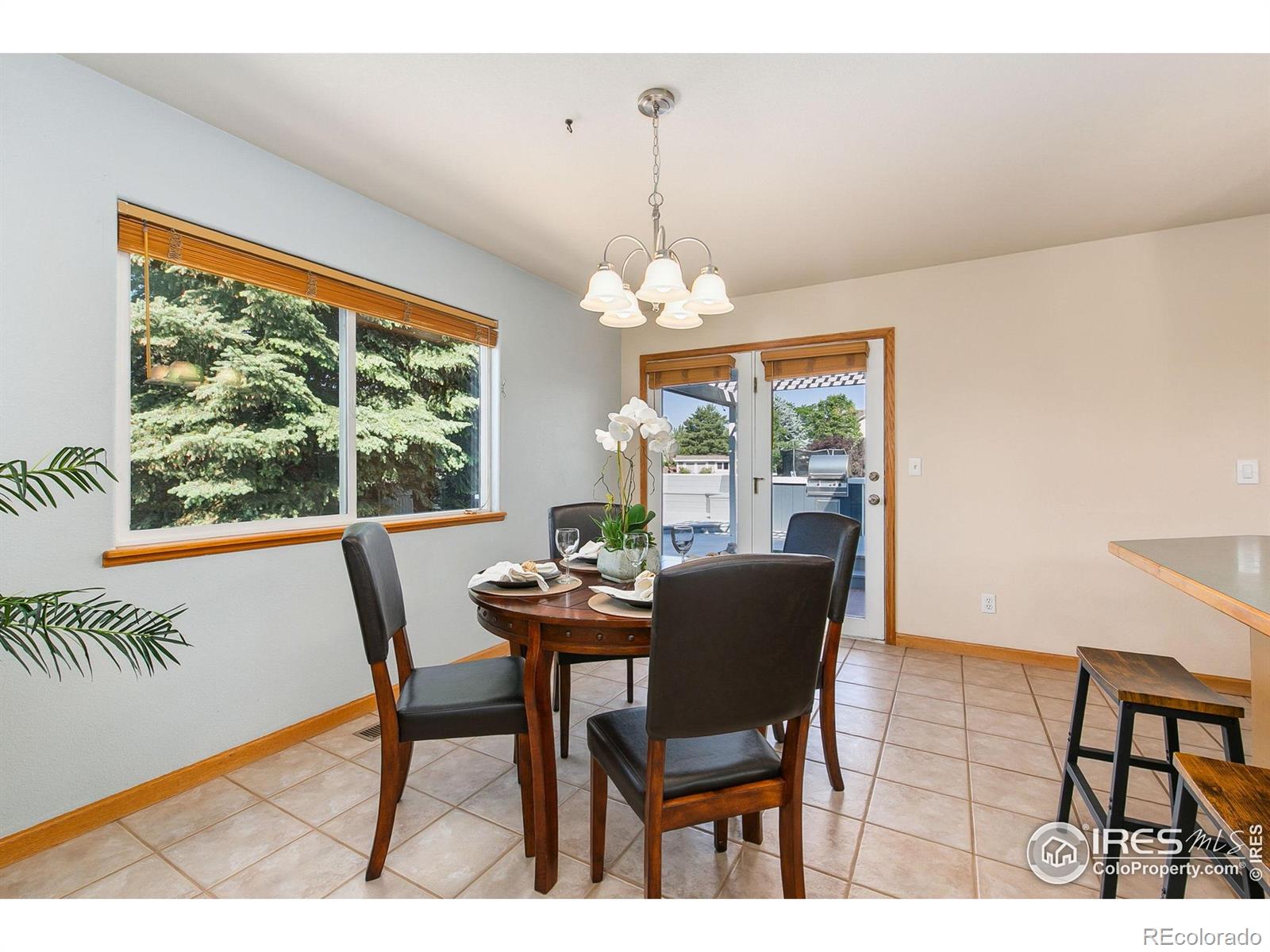 MLS Image #11 for 1204  boulder court,windsor, Colorado