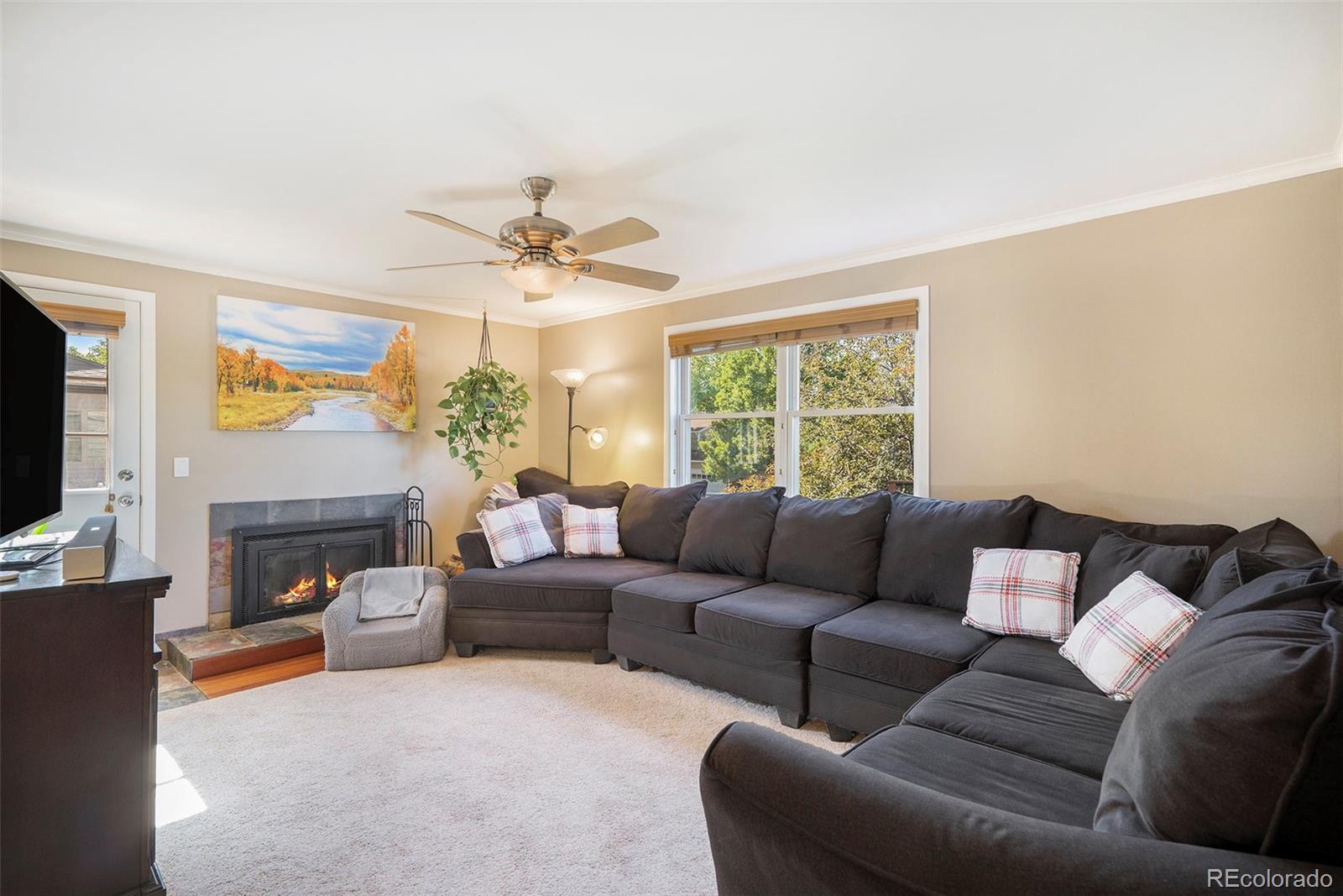 MLS Image #4 for 7780 s kendall boulevard,littleton, Colorado