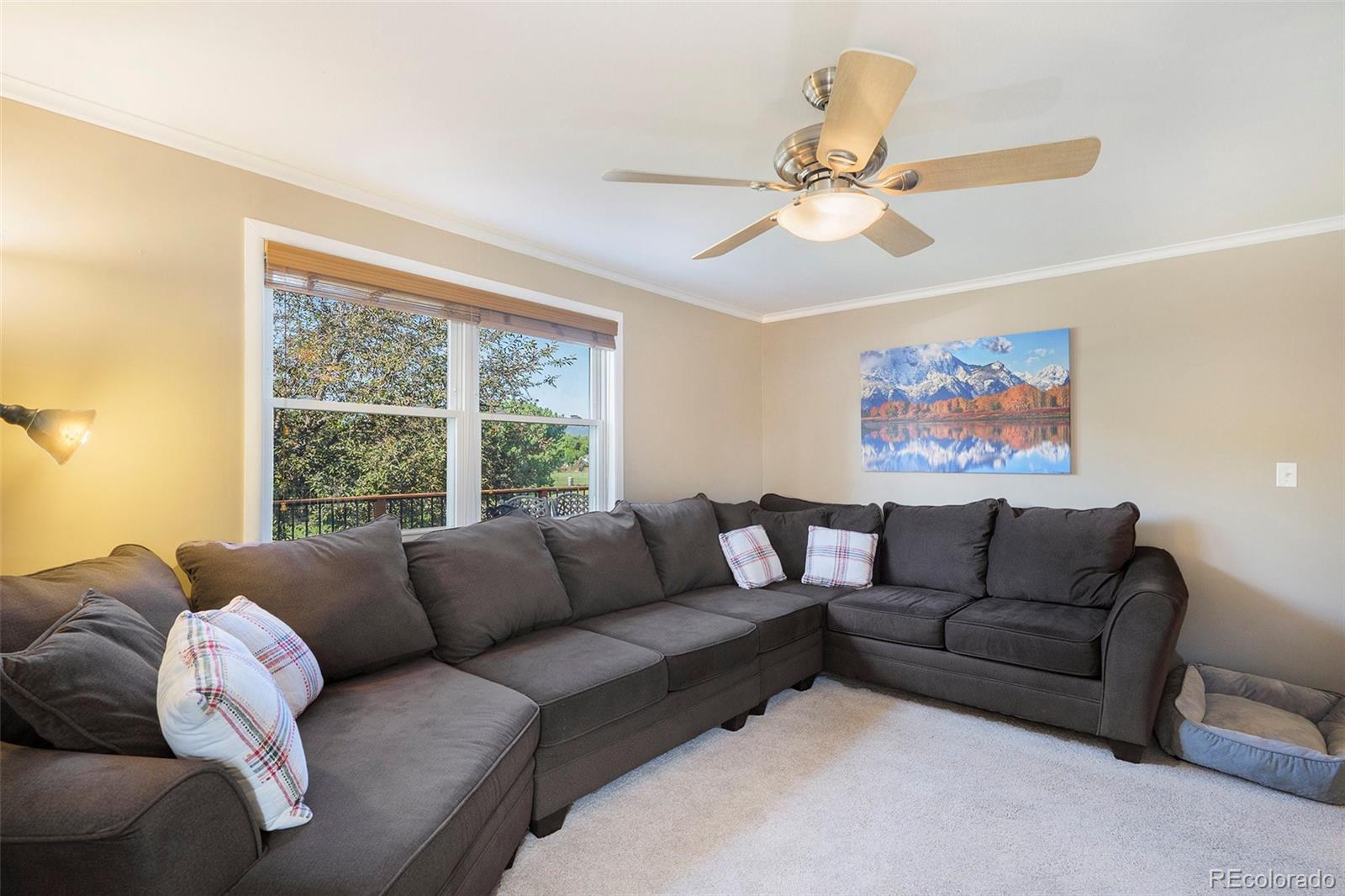 MLS Image #5 for 7780 s kendall boulevard,littleton, Colorado