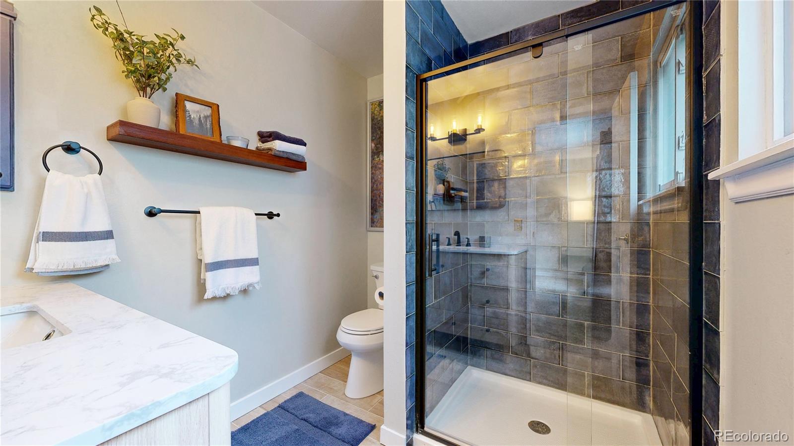 MLS Image #10 for 10718  ash court,thornton, Colorado