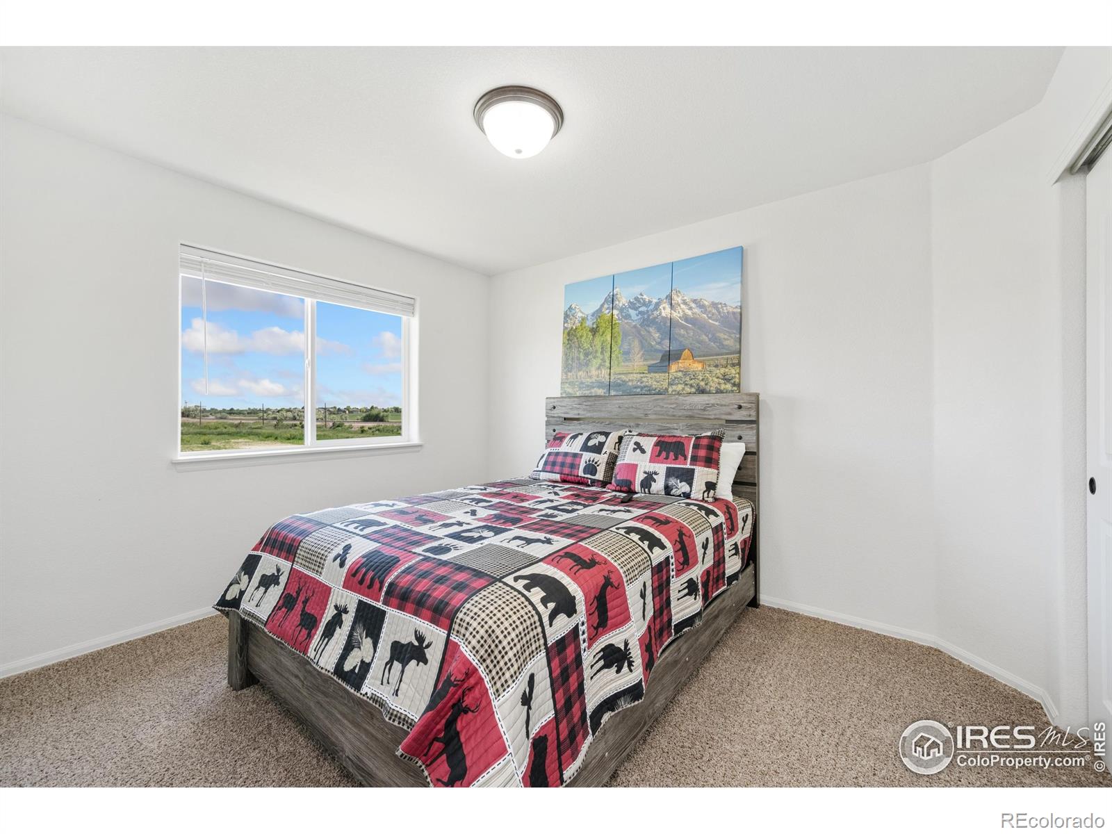 MLS Image #10 for 6301  grand mesa drive,loveland, Colorado