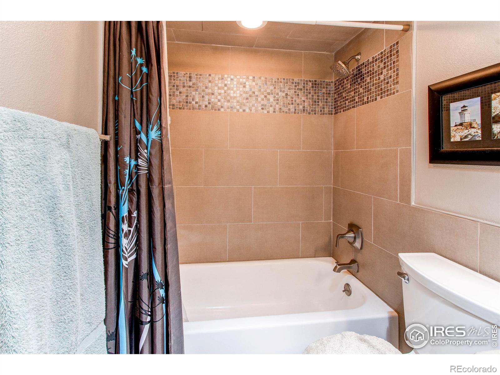 MLS Image #8 for 1331  iva court,fort collins, Colorado