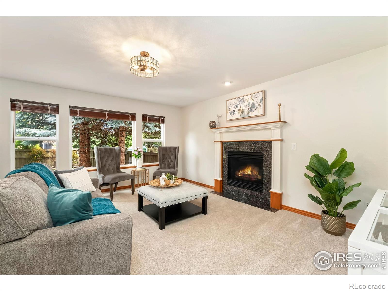 MLS Image #12 for 3514  copper spring drive,fort collins, Colorado