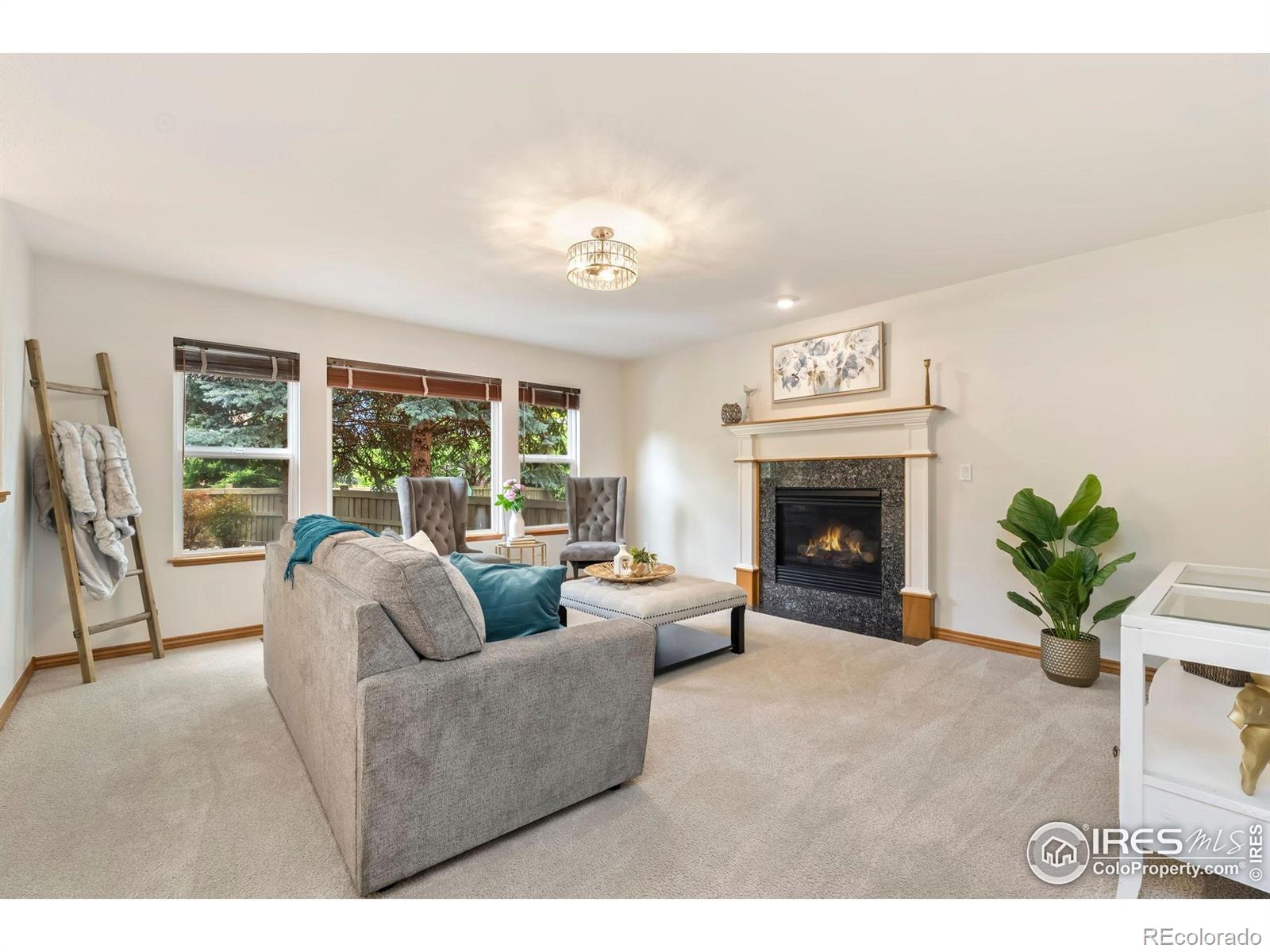 MLS Image #15 for 3514  copper spring drive,fort collins, Colorado