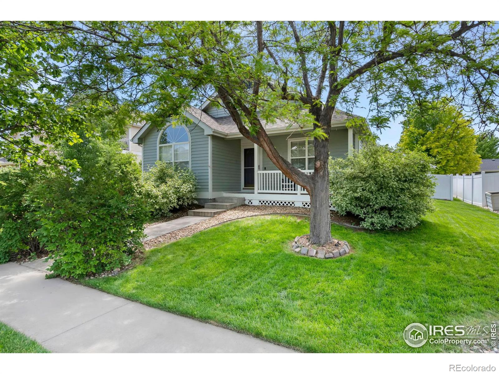 MLS Image #1 for 1301  fairfield avenue,windsor, Colorado